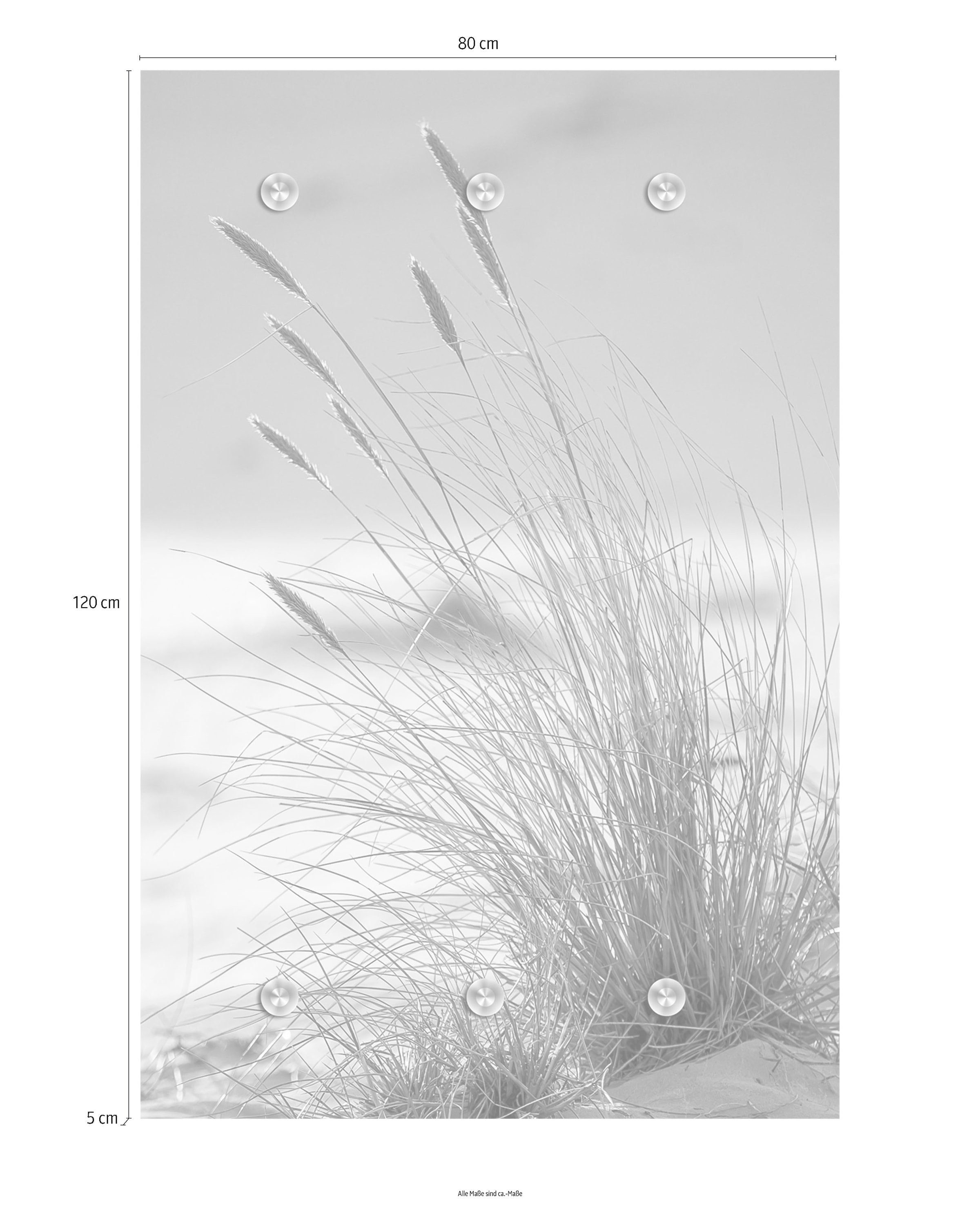 queence Garderobenleiste »Strand« mit 6 Haken, 80 x 120 cm