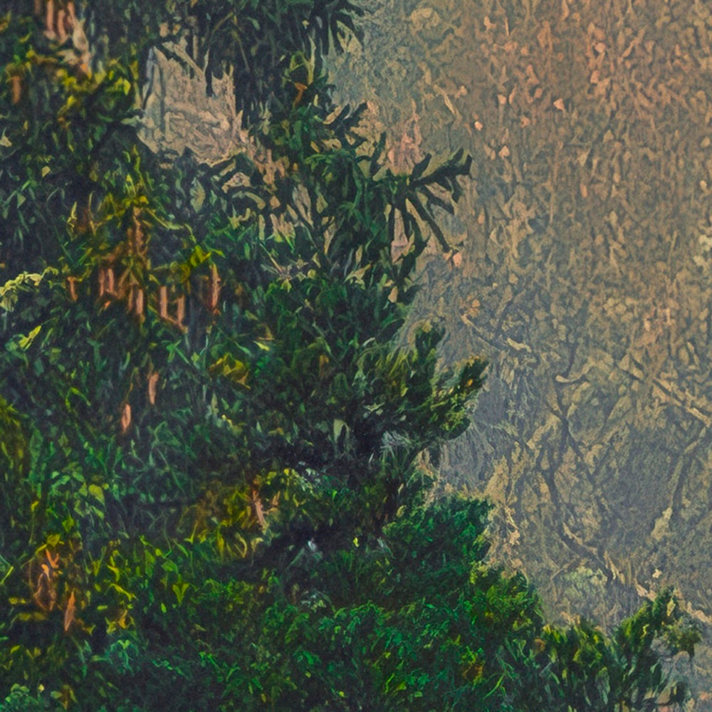 Komar Fototapete »Vlies Fototapete - Mystical Firs - Grösse 400 x 250 cm« Motiv | bedruckt glatt