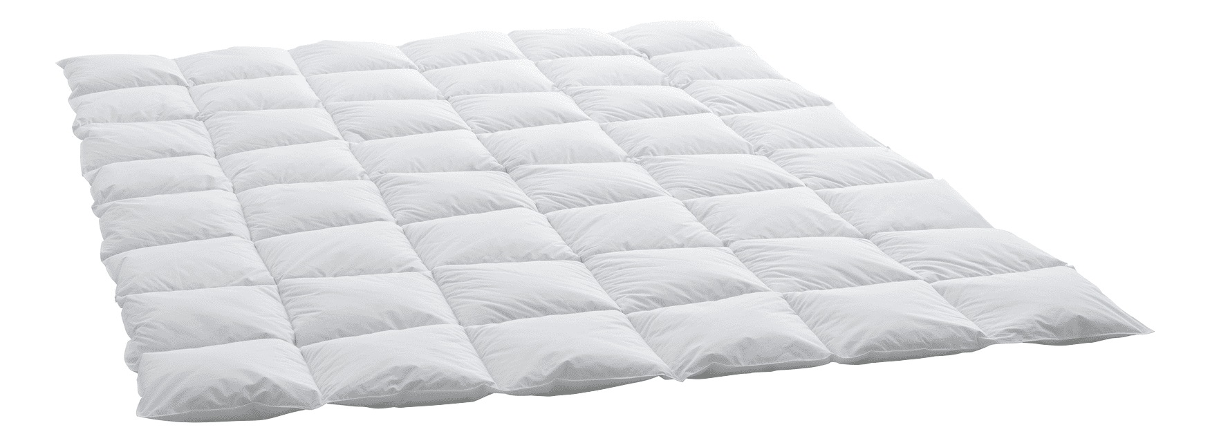 Image of Swiss Dream by billerbeck Daunenbettdecke »Classic 90«, normal, Füllung 90% neue europäische Gänsedaunen, weiss, 10% Federchen Klasse I, Kein Lebendrupf!, Bezug 100% Baumwolle, feinster Schweizer Batist, hydrophil und atmungsaktiv., (1 St.) bei Ackermann 