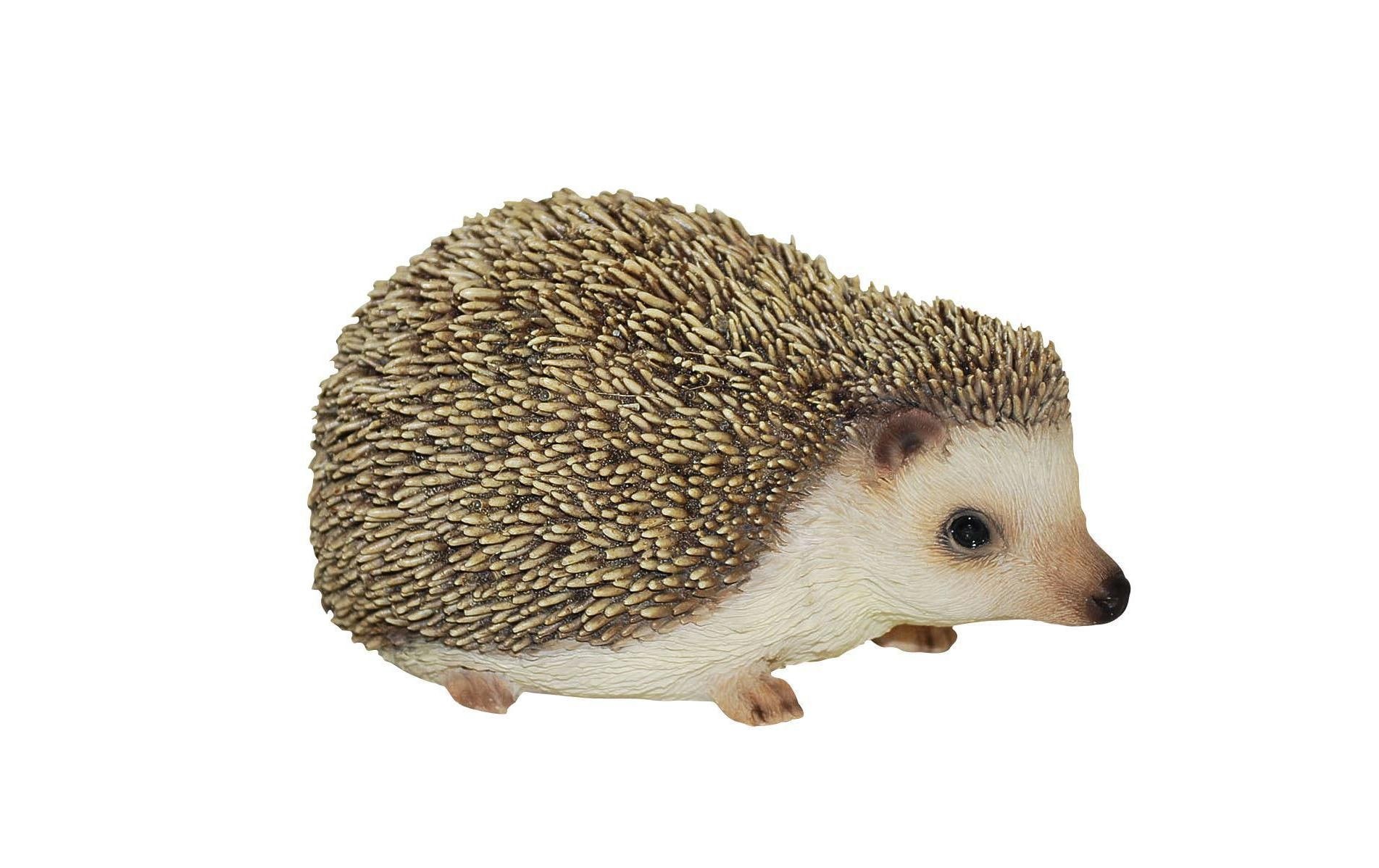 Image of Dekofigur "Vivid Arts Igel, Polyresin, Braun"