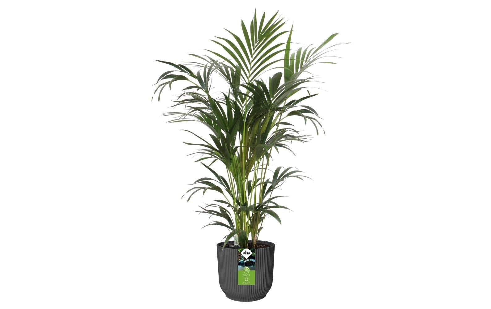 Elho Blumentopf »All-in-1 Vibes Rund«