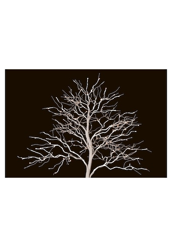 Künstlicher Weihnachtsbaum »Fairy Tale 2.5 m Weiss«