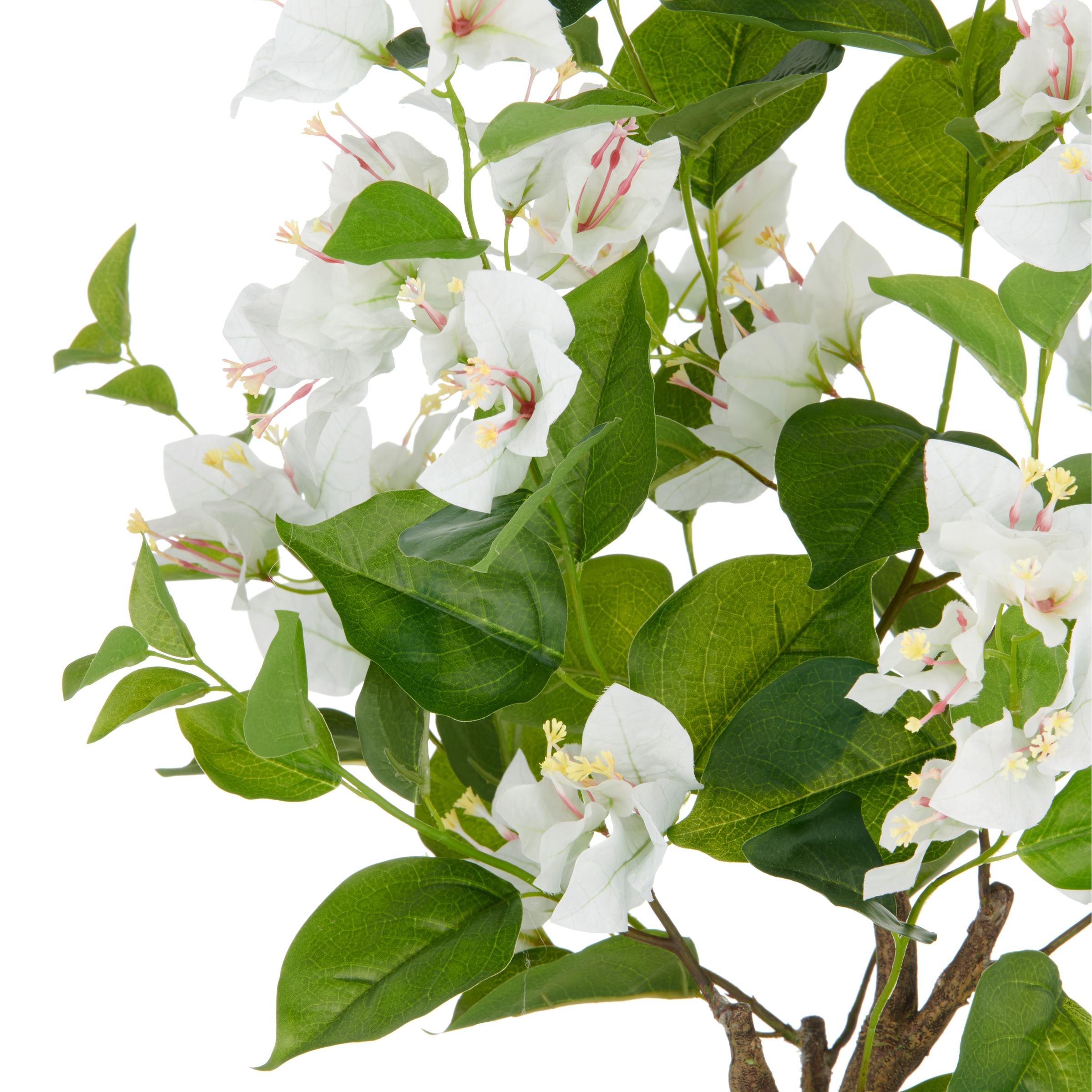 Creativ green Kunstpflanze »Bougainvillea« mit zahlreichen Blüten