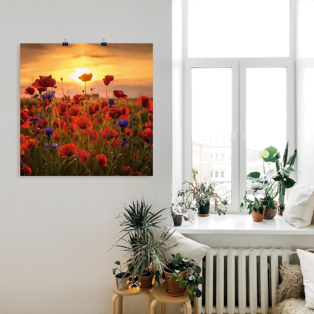 Artland Wandbild »Mohnblumen im Abendlicht«, Blumen, (1 St.)