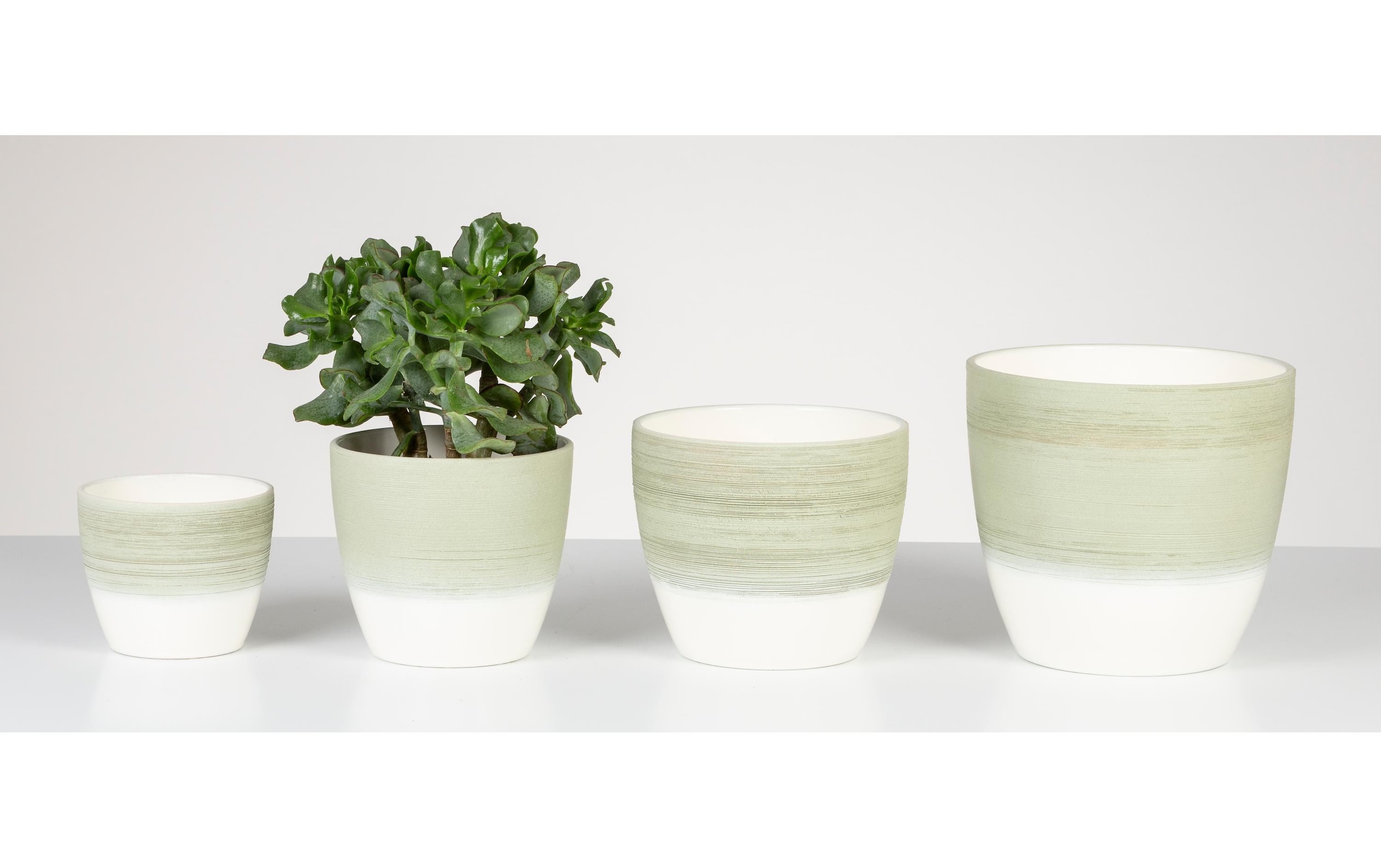 Scheurich Blumentopf »Matcha Cream 950 19 cm«