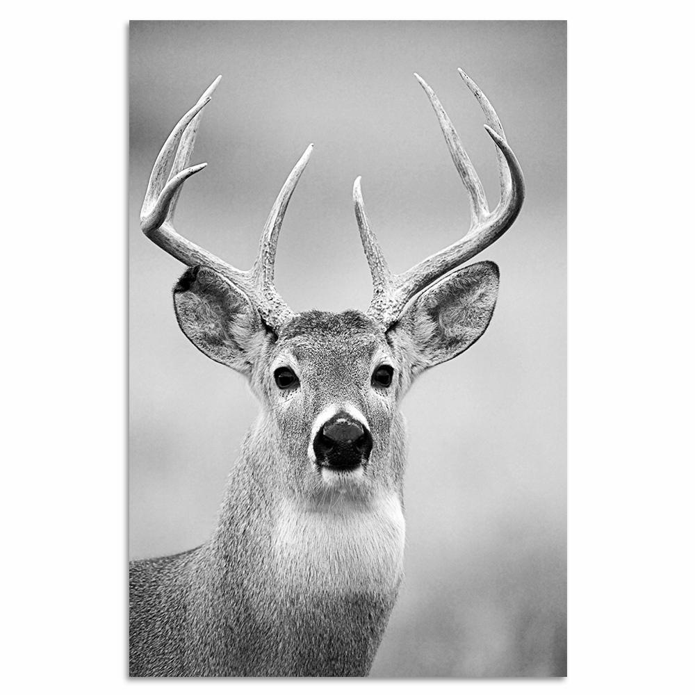 Image of Home affaire Leinwandbild »Hirsch«, 40/60 cm bei Ackermann Versand Schweiz