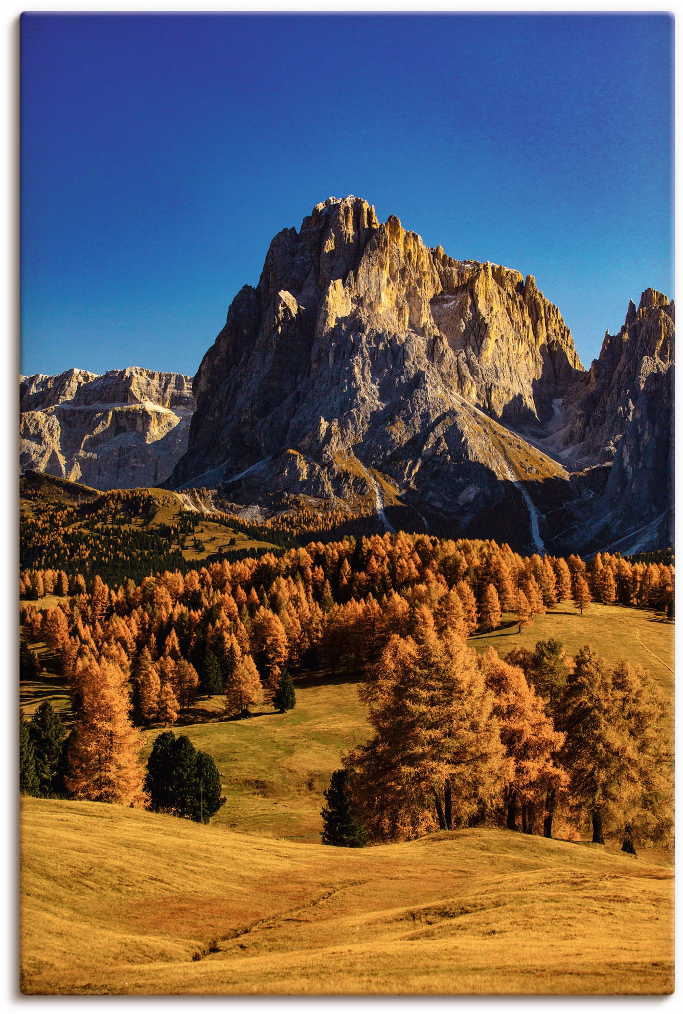 Image of Artland Wandbild »Herbst auf der Seiser Alm«, Wiesen & Baumbilder, (1 St.), in vielen Grössen & Produktarten - Alubild / Outdoorbild für den Aussenbereich, Leinwandbild, Poster, Wandaufkleber / Wandtattoo auch für Badezimmer geeignet bei Ackermann Versand