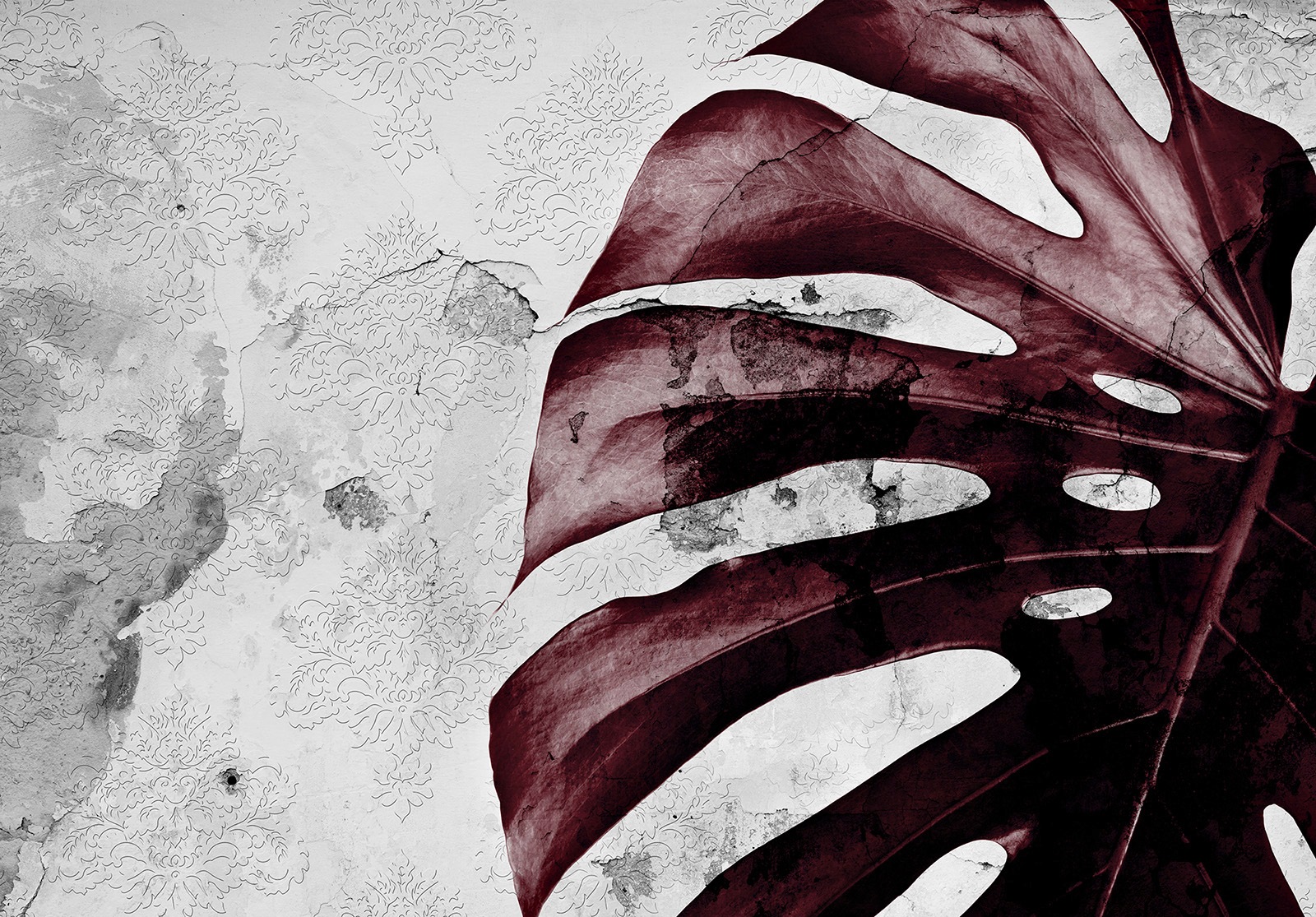 Image of Consalnet Papiertapete »Rote Monster Blume«, floral bei Ackermann Versand Schweiz