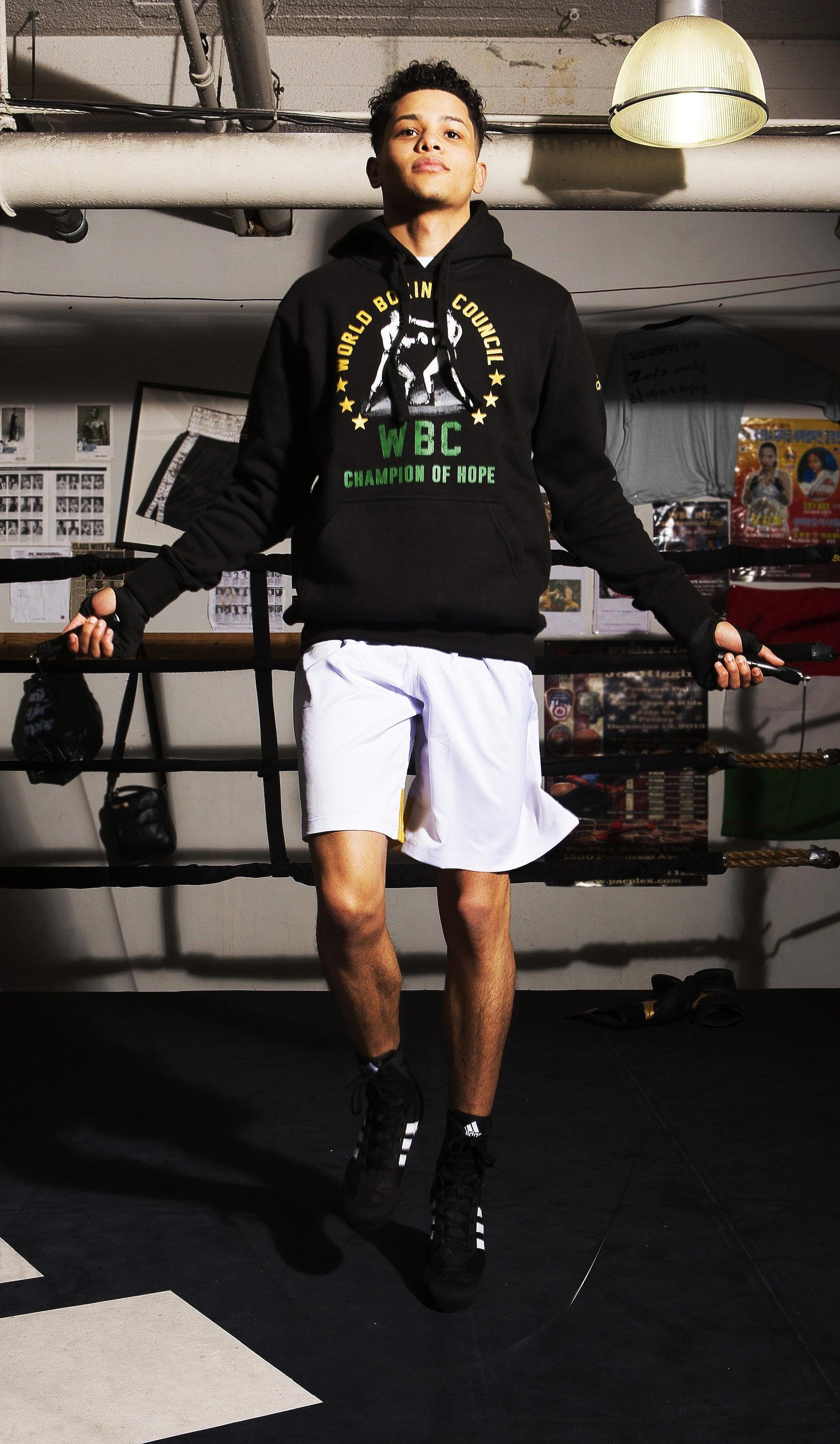 adidas Performance Hoodie »WBC Hoody Heritage«