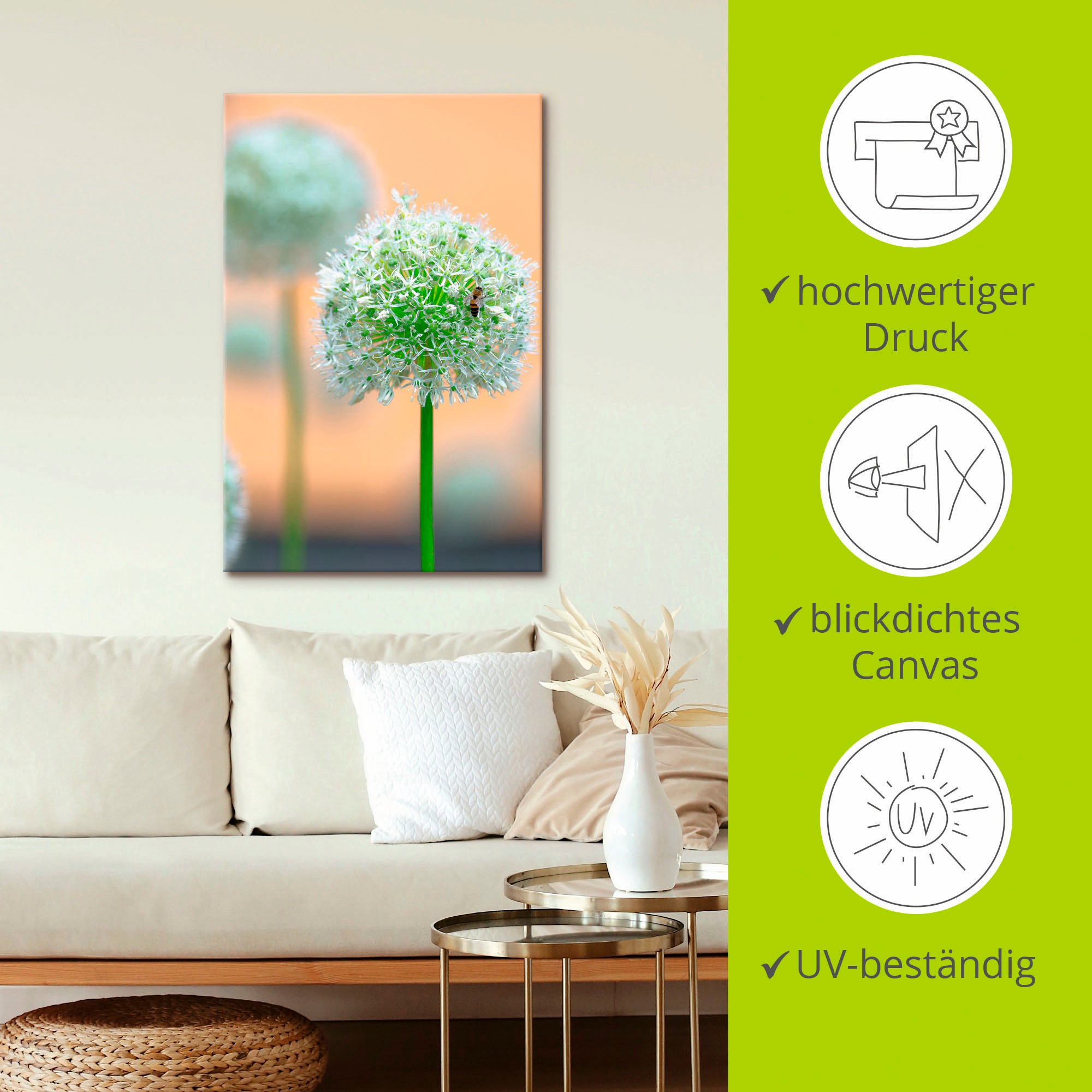 Artland Leinwandbild »Grosser Allium in Pastell« Blumen 1 Stk. tlg. auf Holzrahmen gespannt