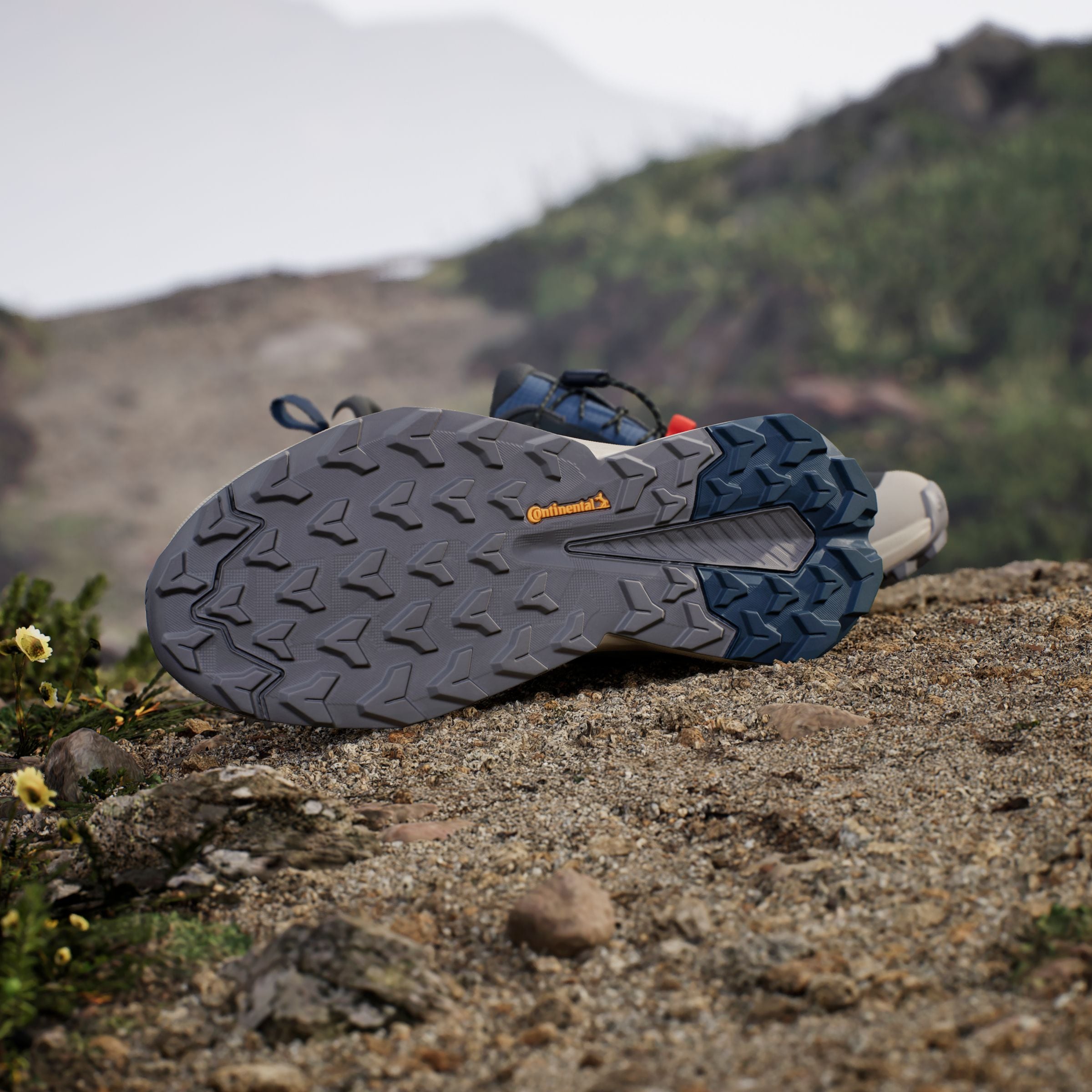 adidas TERREX Wanderschuh »TERREX TRAILMAKER 2 GORE-TEX SPEED LACE«, wasserdicht