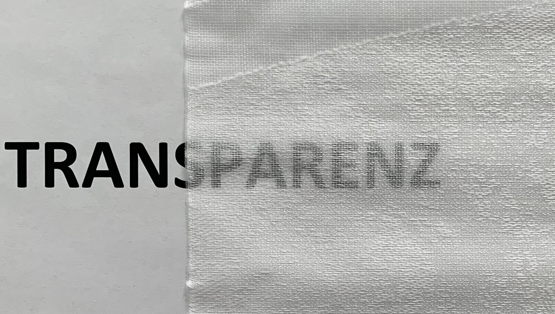 HOME WOHNIDEEN Schiebegardine »CASSÉ« Paneelwagen 1 Stk. tlg. Dekostoff, mit transparentem Scherli