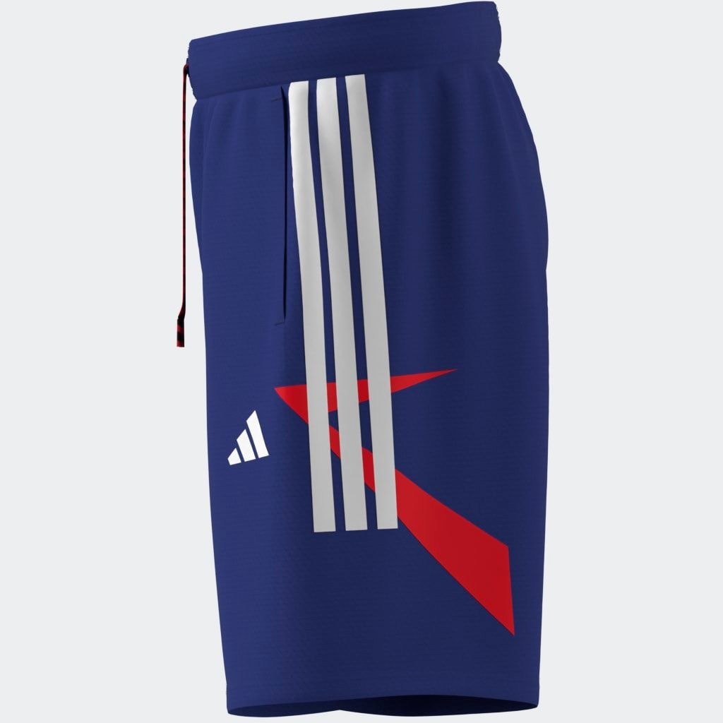 adidas Sportswear Shorts »HOUSE OF TIRO NATIONS PACK«