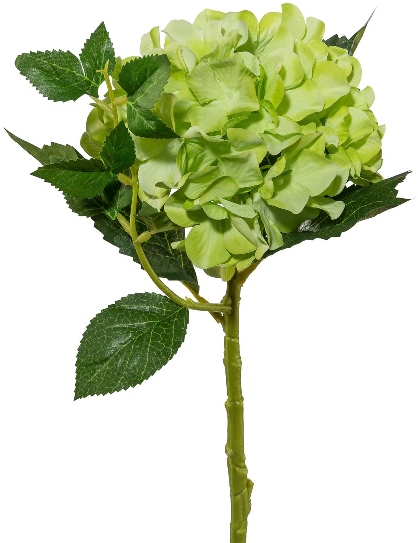 Creativ green Kunstblume »Hortensie«