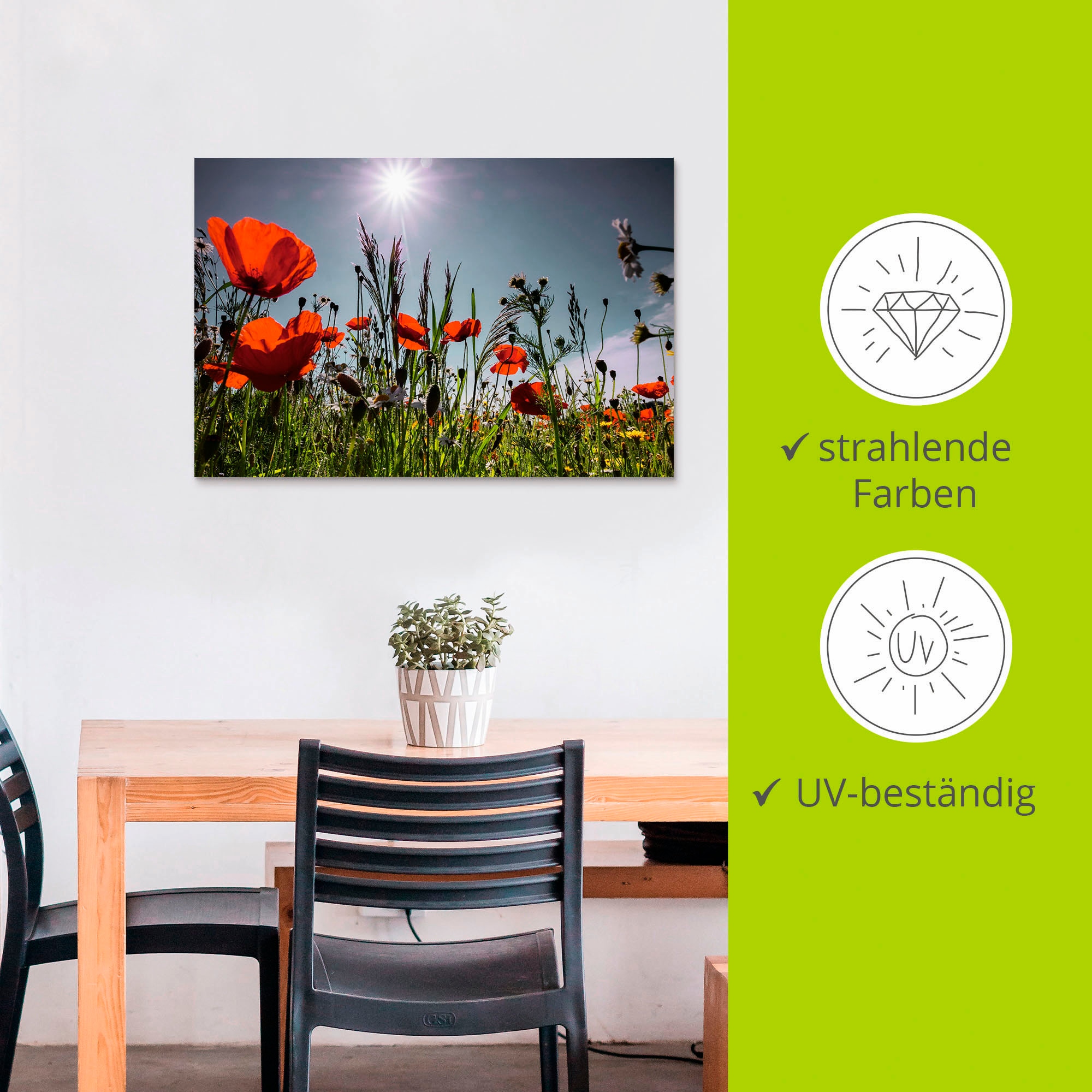 Artland Impression alu-dibond »Mohnblumenwiese« 1 cuis tlg. für Innen- und Aussenbereich geeignet, Outdoorbild