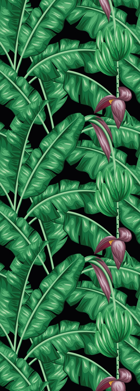 Image of queence Vinyltapete "Jessica" Motiv bedruckt botanisch floral gemustert natürlich glatt 90x250cm, selbstklebend, kinderleichte Anbringung, Sticker