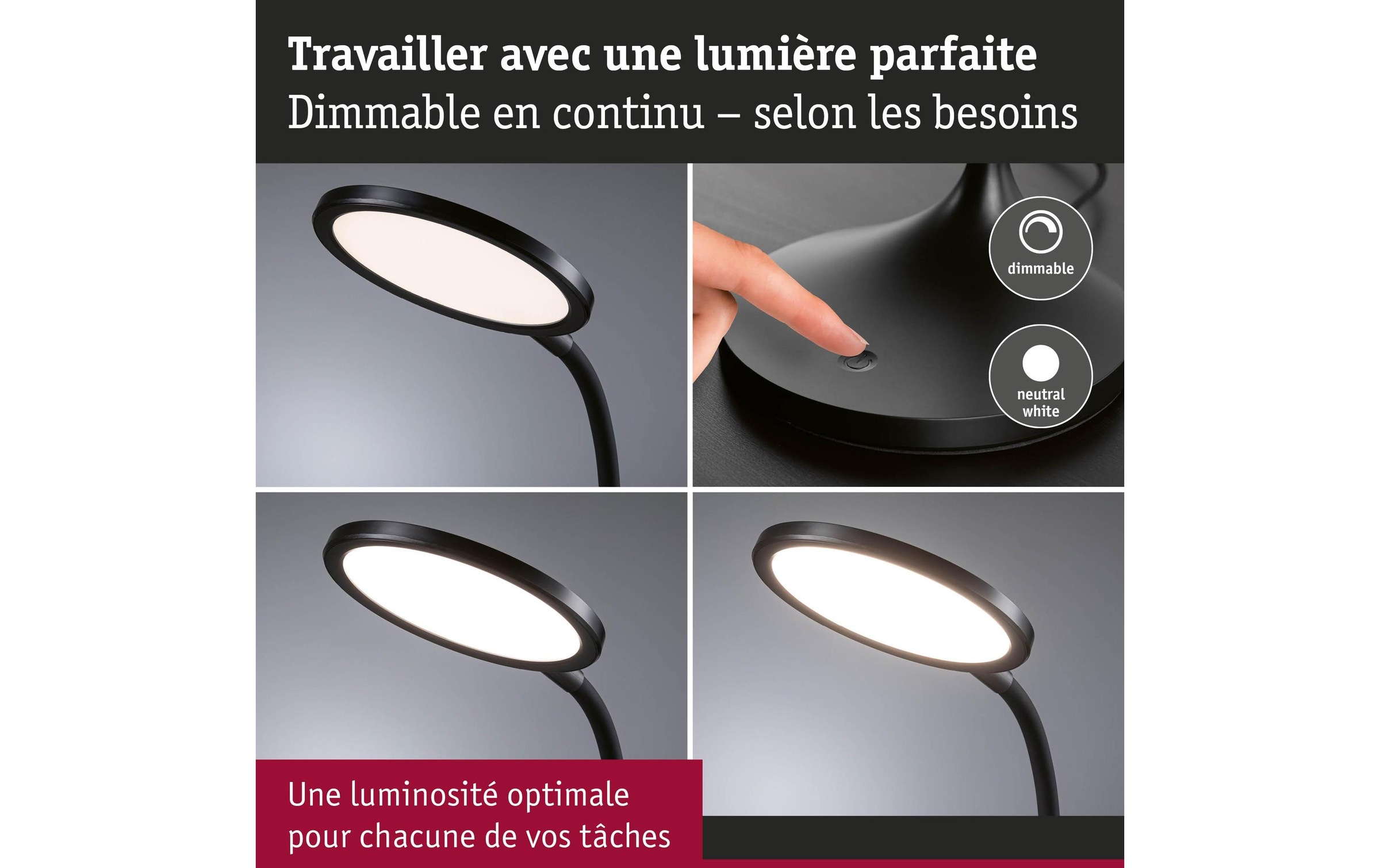 Paulmann Lampe de bureau LED »Paulmann Schreibtischleuchte Schwarz, matt« Module LED blanc chaud