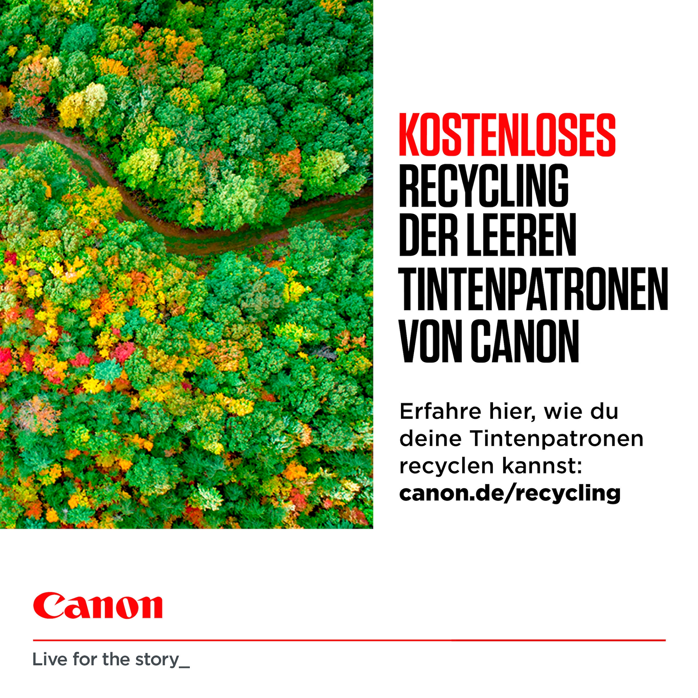 Canon Tintenpatrone »CLI-581 BK/C/M/Y Tinte + Fotopapier Value Pack«