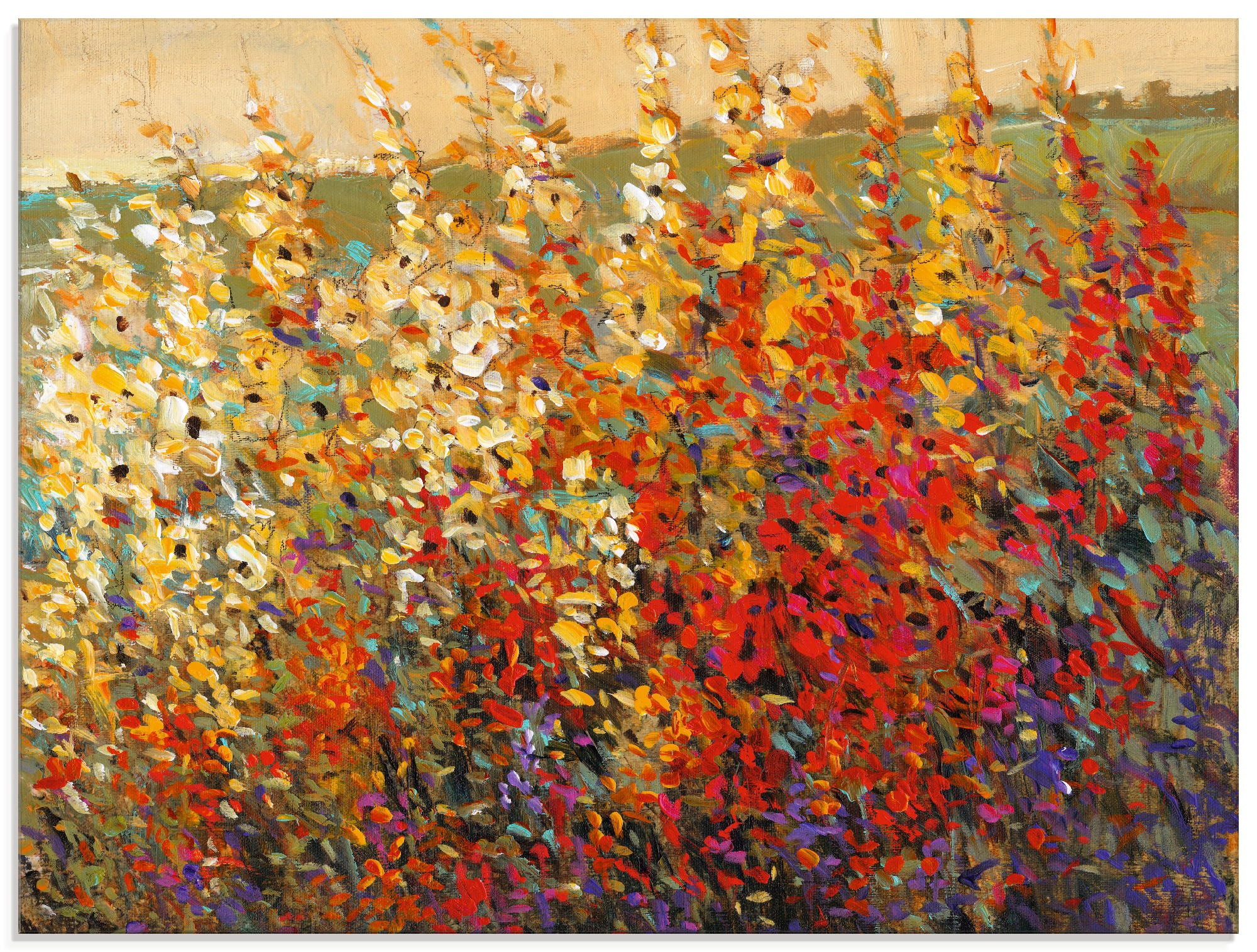 Image of Artland Glasbild »Feld mit Herbstblumen I«, Blumenwiese, (1 St.) bei Ackermann Versand Schweiz