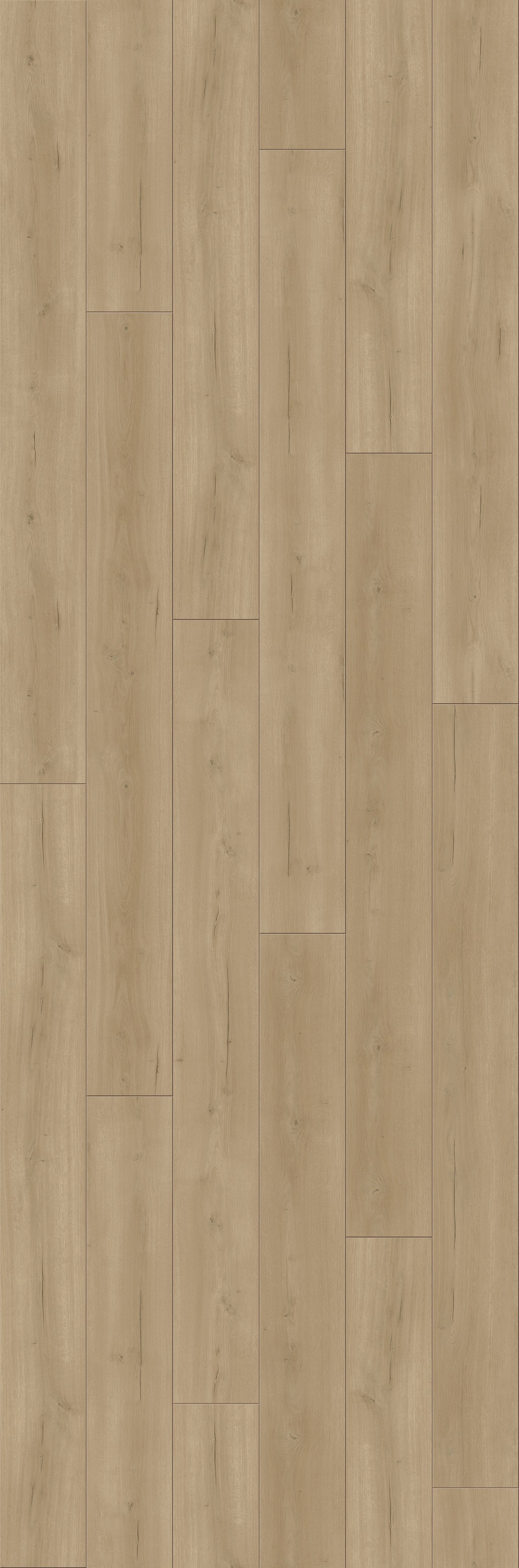 Image of PARADOR Laminat »Trendtime 6 - Eiche Loft Natur«, (Packung), spezielle Trägerplatte, 2200 x 243 mm, Stärke: 9 mm bei Ackermann Versand Schweiz