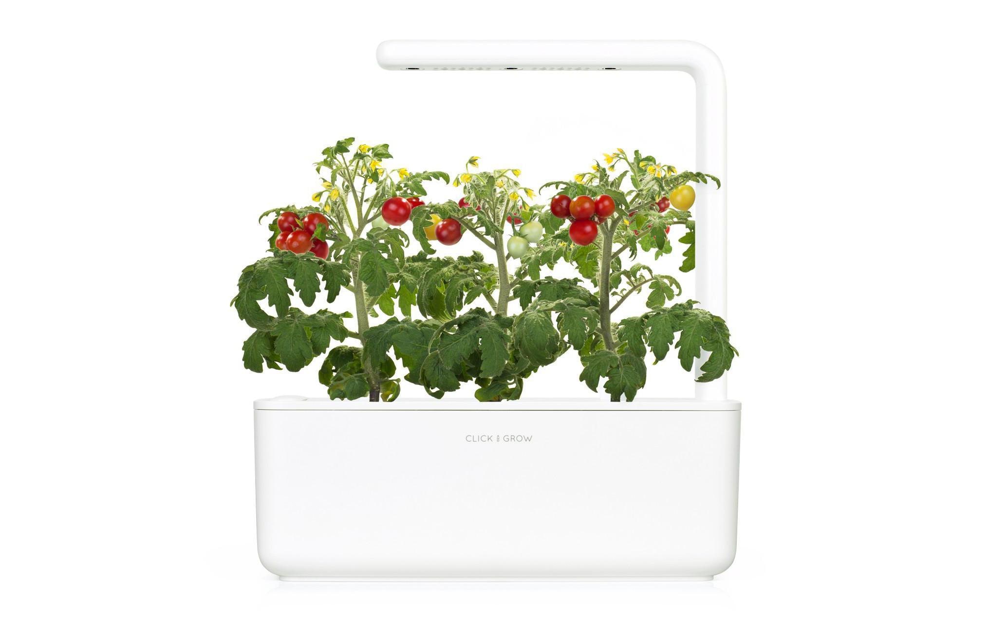 Click and Grow Kräutertopf »Smart Garden 3 Weiss«