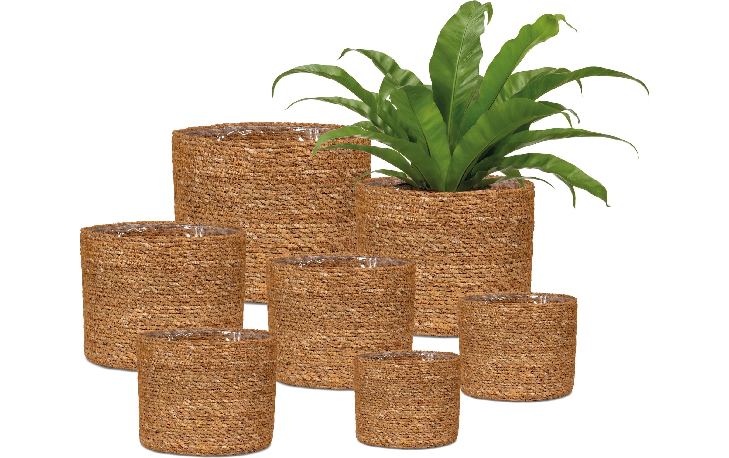 Scheurich Blumentopf »mit Folie 24 x 22.5 cm«
