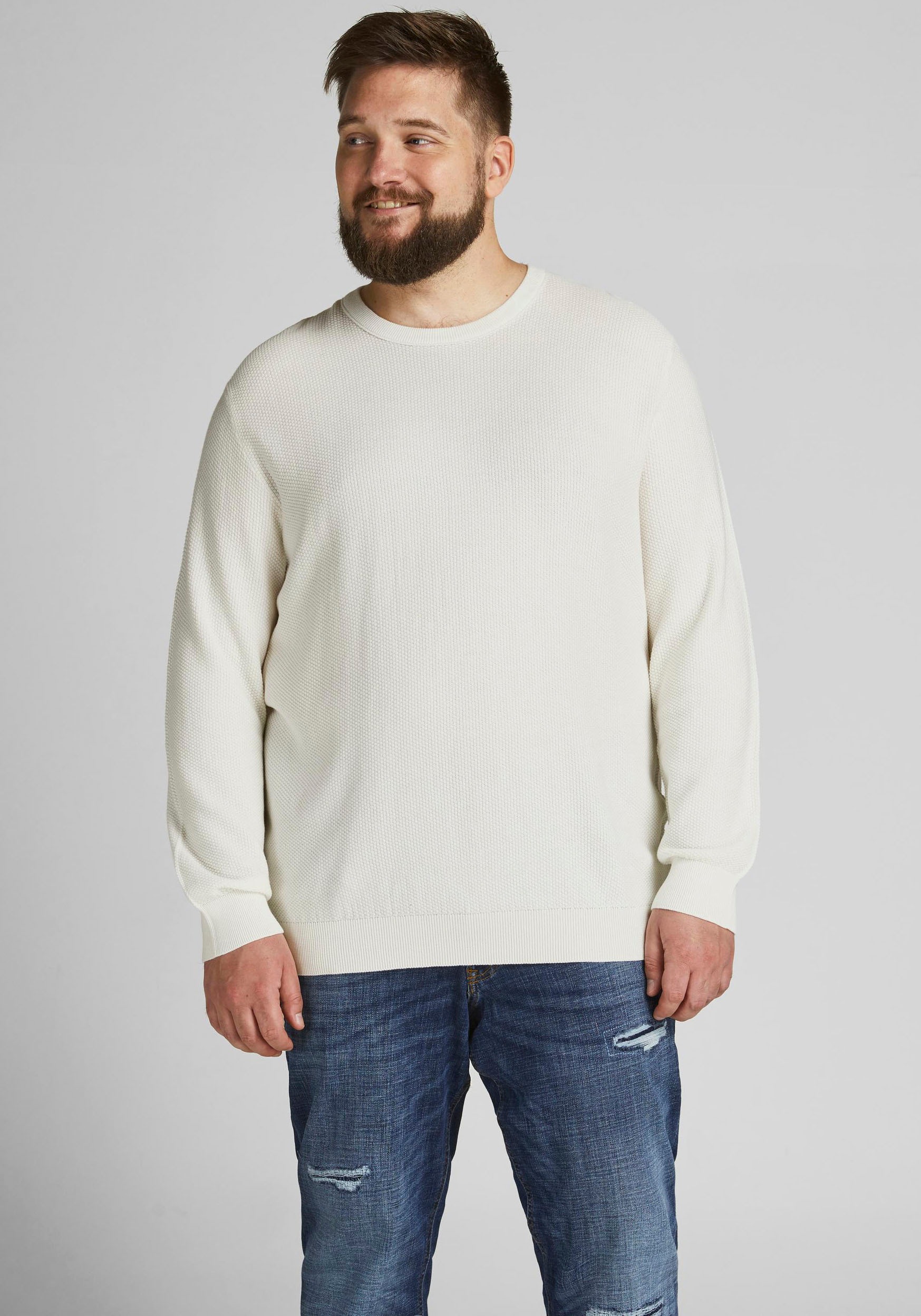 Image of Jack & Jones PlusSize Rundhalspullover »ARON«, Bis Grösse 6XL bei Ackermann Versand Schweiz
