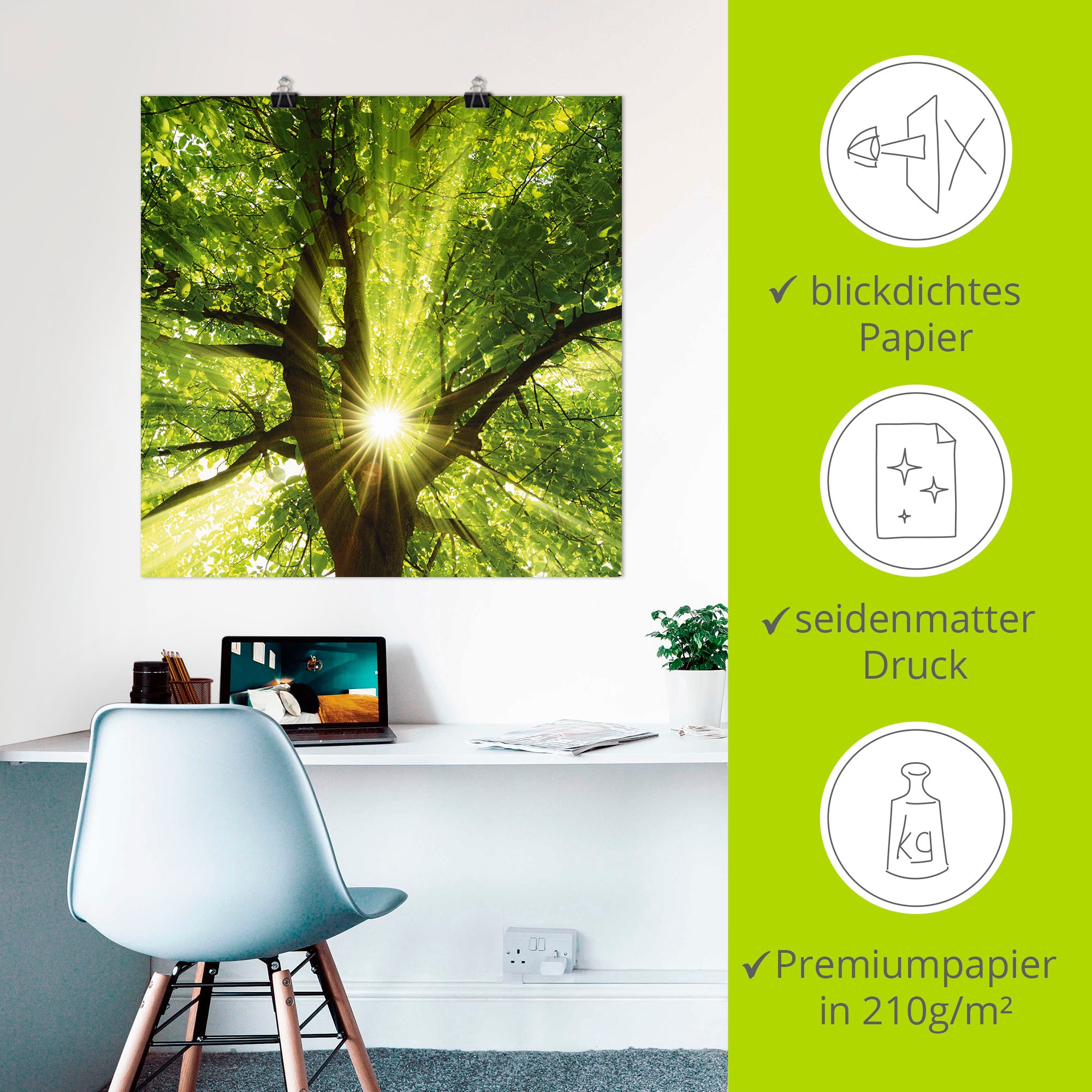 Artland Wandbild »Sonne strahlt explosiv durch den Baum«, Bäume, (1 St.), als Leinwandbild, Poster, Wandaufkleber in verschied. Grössen