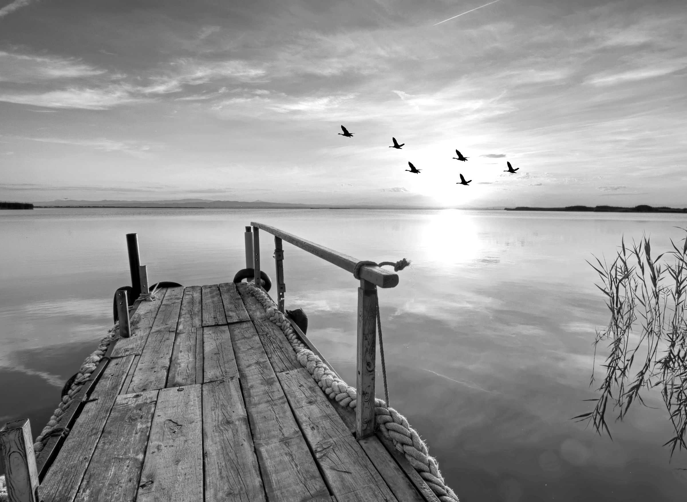 Image of Papermoon Fototapete "Steg am Wasser Schwarz & Weiss"