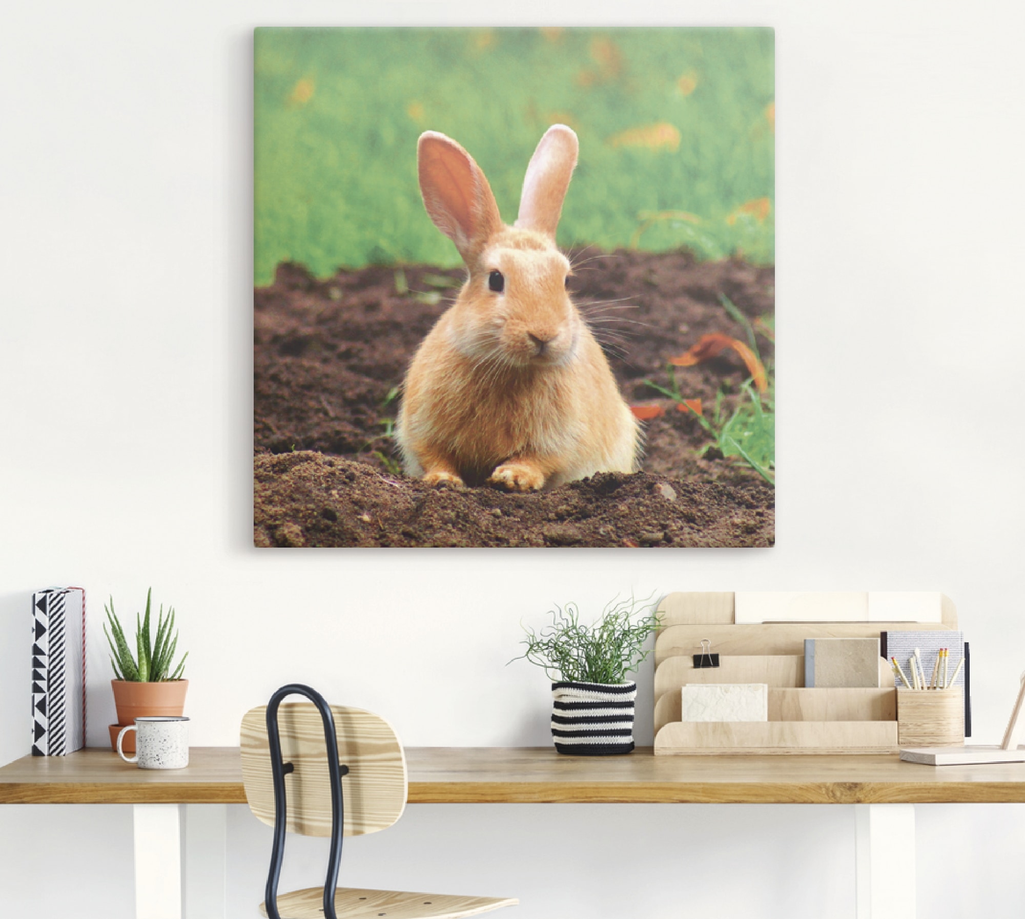 Artland Wandbild »Glückliches Zwergkaninchen«, Wildtiere, (1 St.), als Leinwandbild, Wandaufkleber in verschied. Grössen