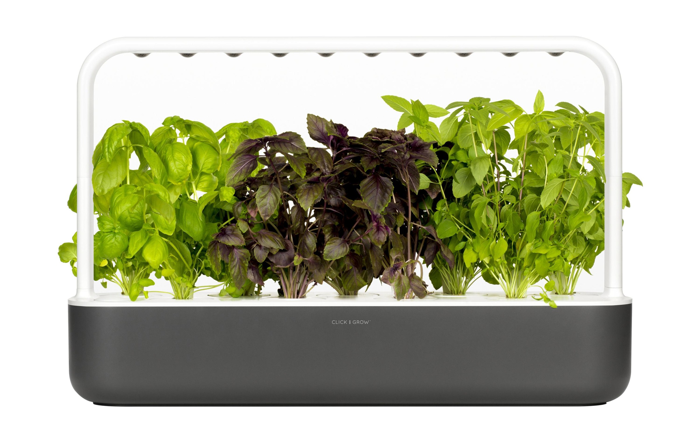 Kräutertopf »Smart Garden 9 Dunkelgrau«