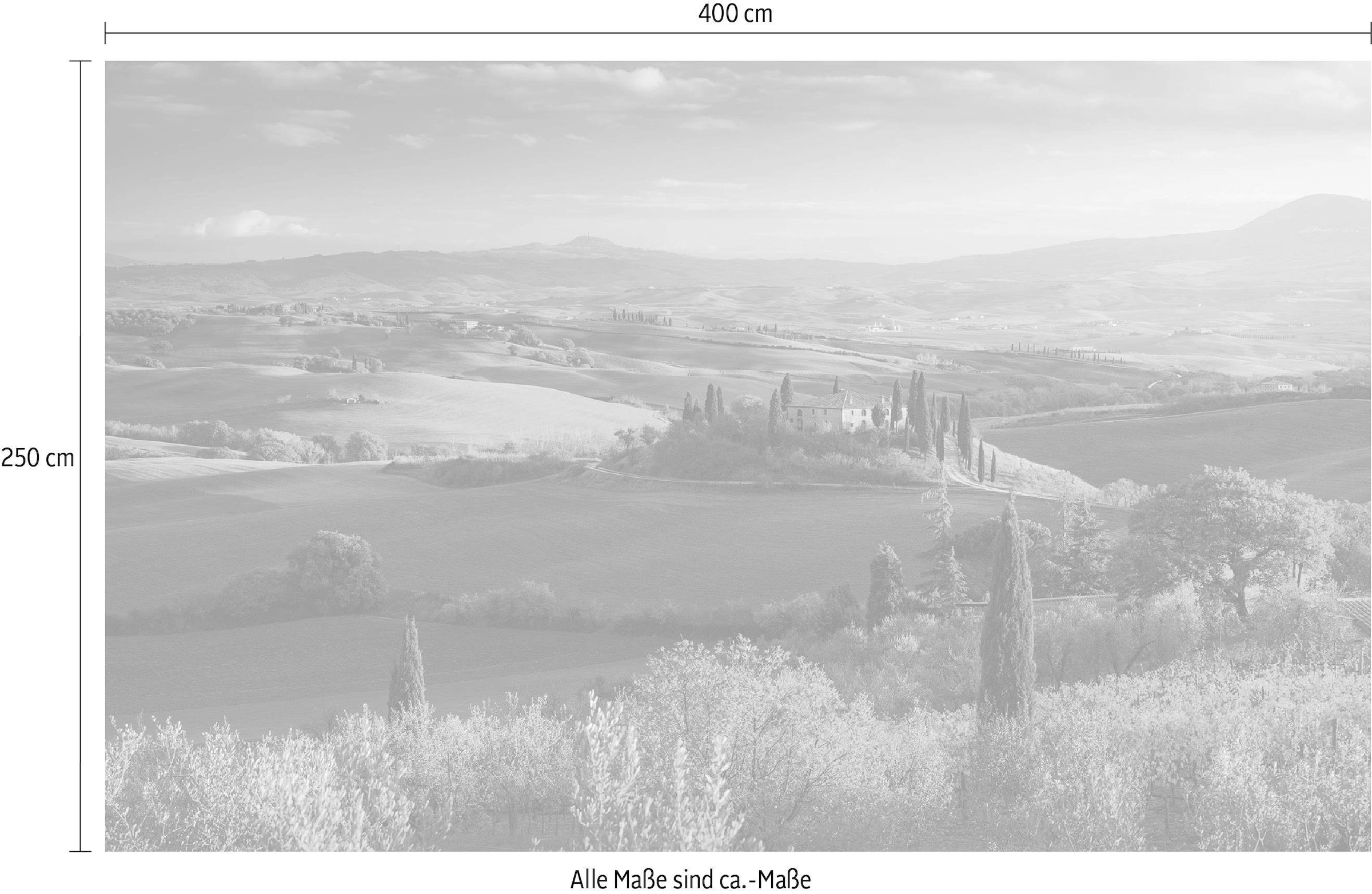 Komar Papier peint intissé »Digitaldruck Vlies -  Toskanagold - Grösse 400 x 250 cm« imprimé Wohnzimmer, Schlafzimmer