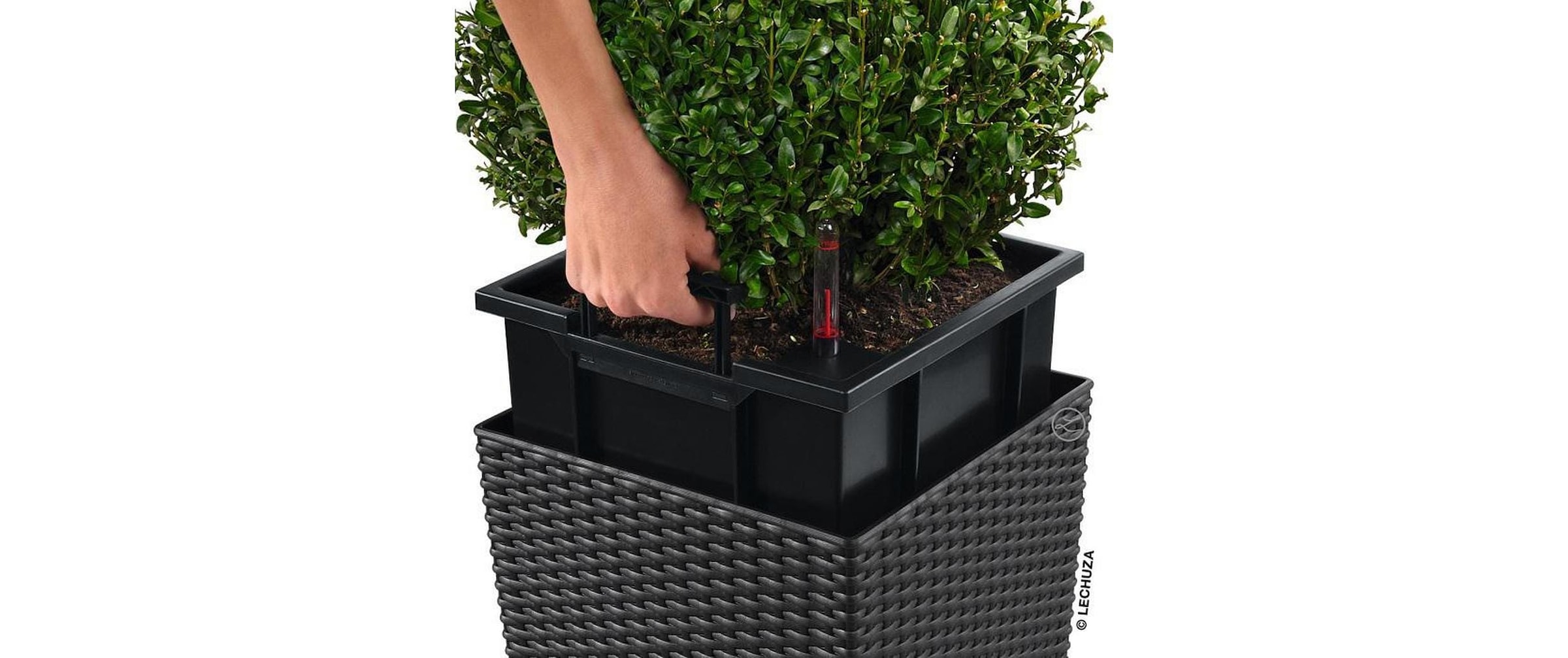   Blumentopf »Lechuza CUBE Cottage 50«