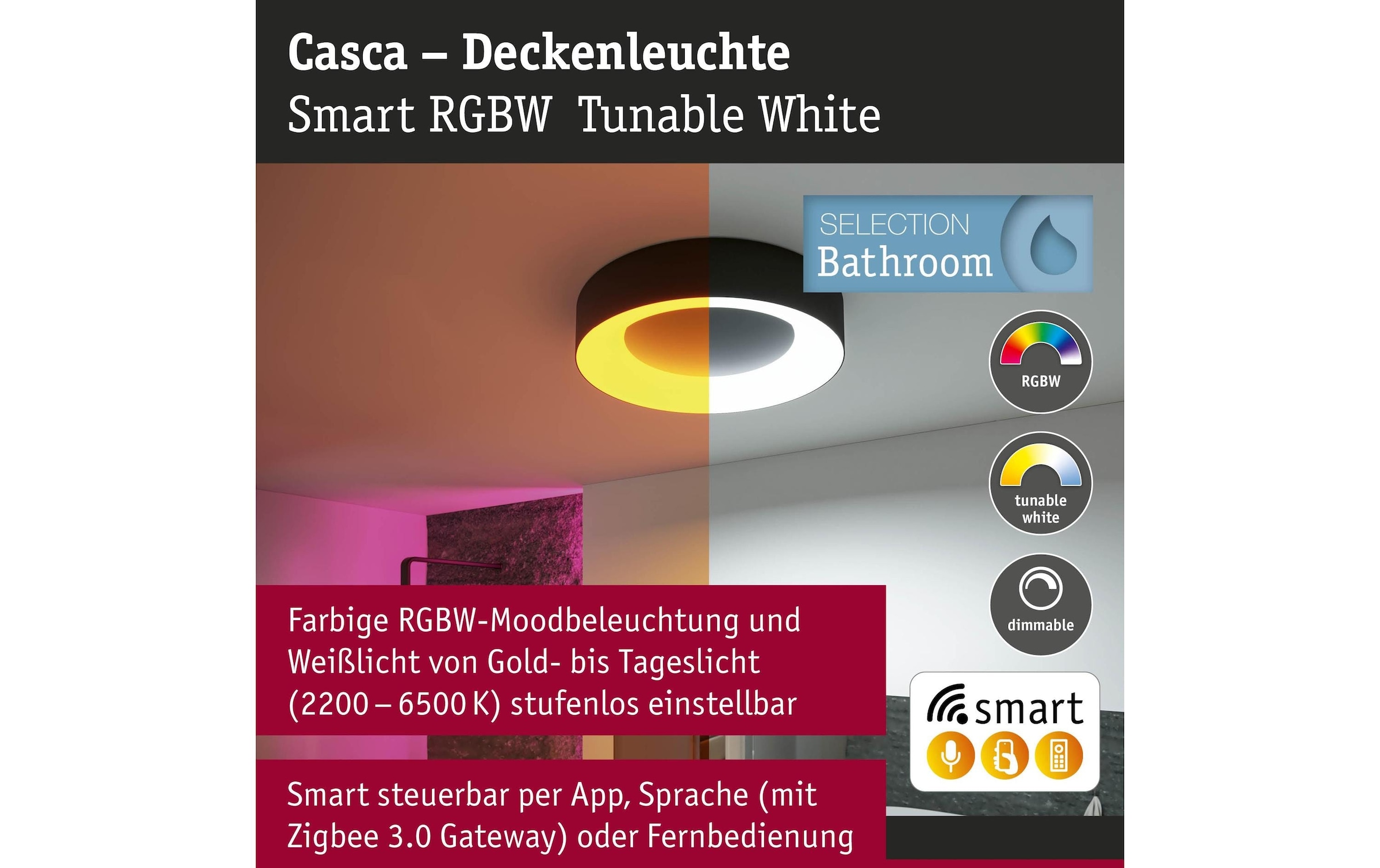 Paulmann Deckenleuchte »Casca« LED-Modul 1 Stk. Tageslichtweiss dimmbar