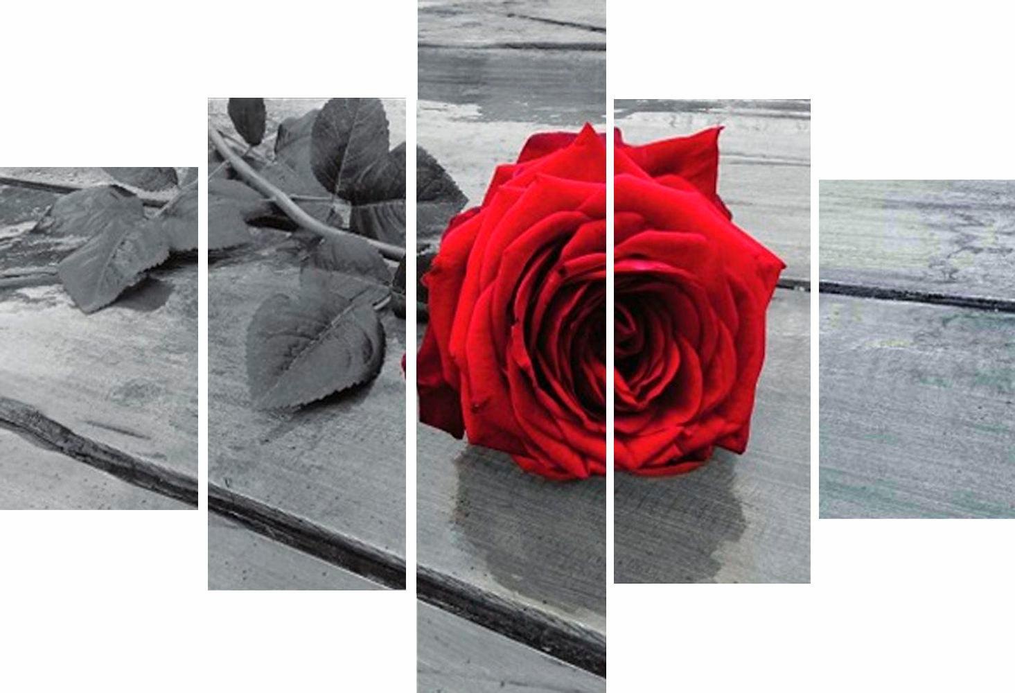 Image of Home affaire Wandbild »RUMIN / Rose on the floor«, 2x 20/35, 2x 20/50, 1x 20/70 cm bei Ackermann Versand Schweiz