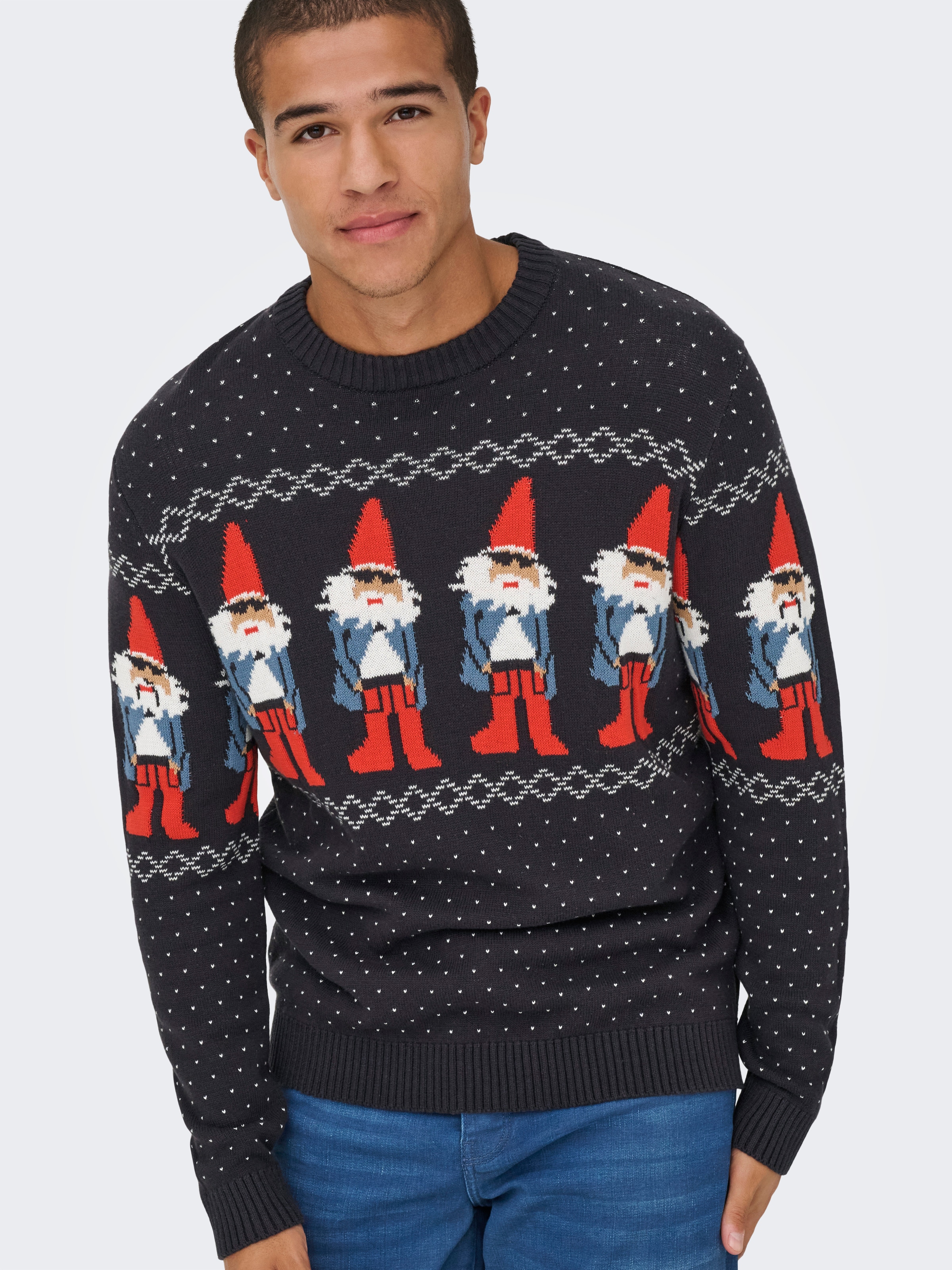 Image of ONLY & SONS Rundhalspullover "ONSX-MAX REG CREW KNIT"