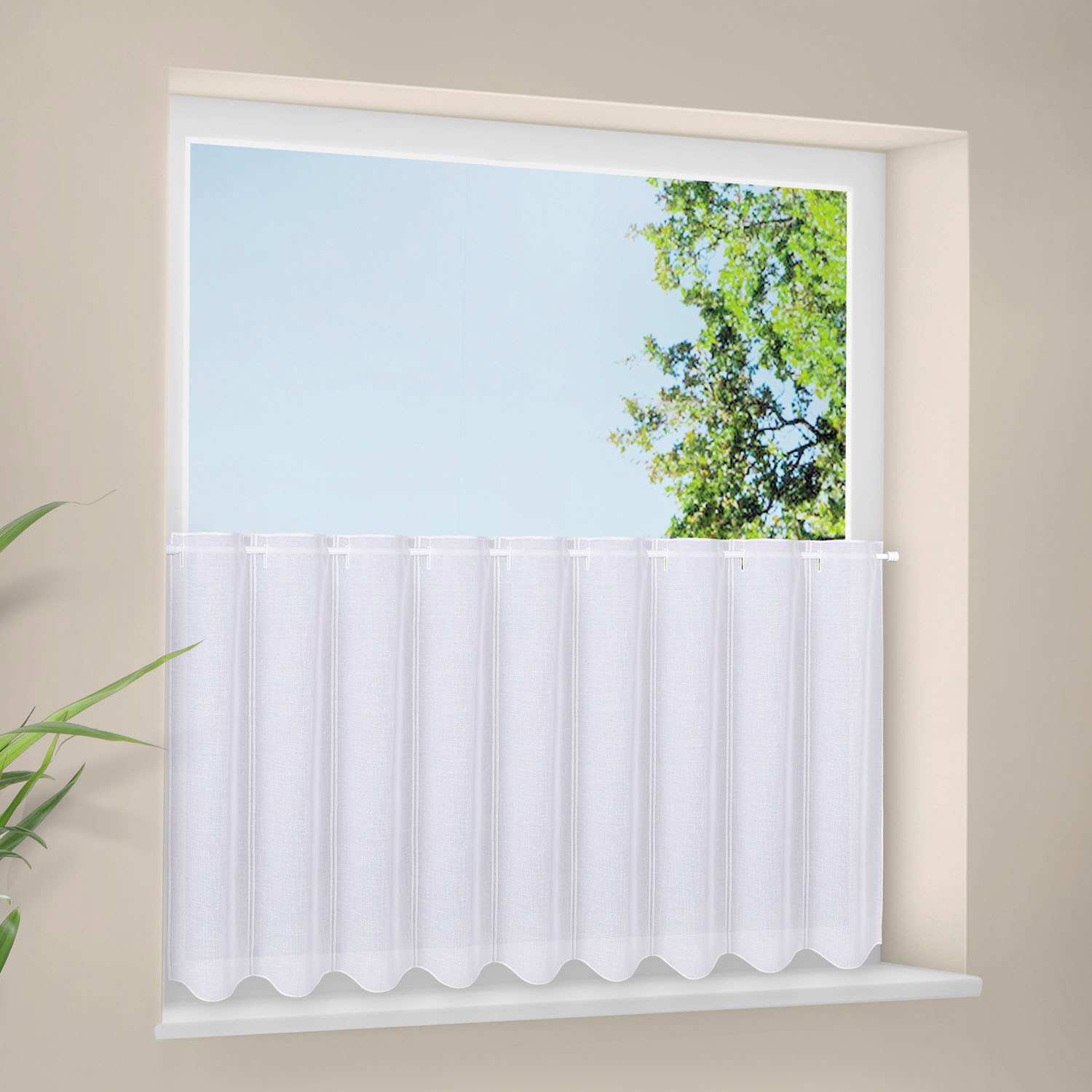 Image of Gerster Scheibengardine nach Mass »Delia«, (1 St.), Unifarbener Panneau mit Schneideleiste bei Ackermann Versand Schweiz