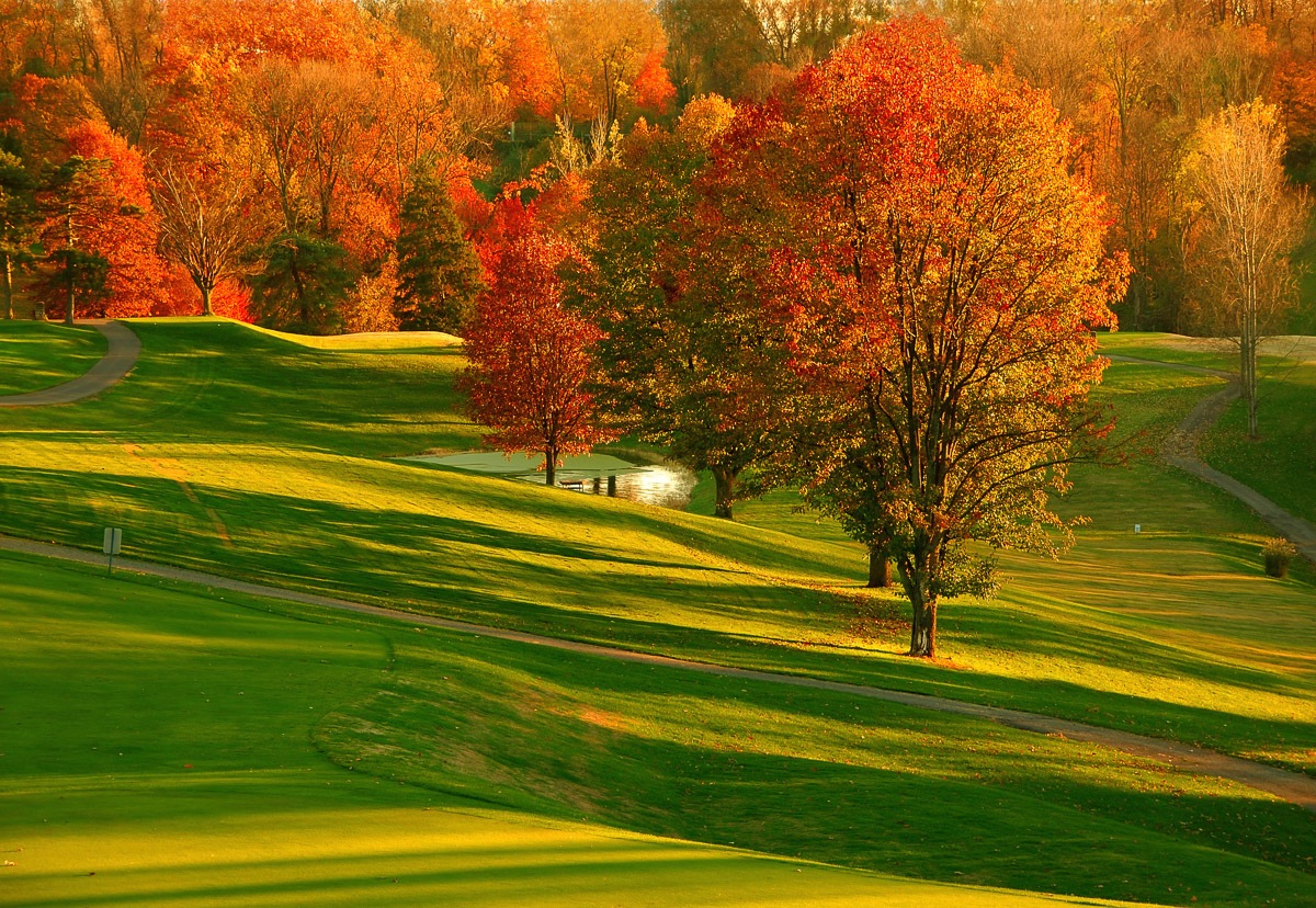 Image of Papermoon Fototapete »Herbst Feld«, Vliestapete, hochwertiger Digitaldruck, inklusive Kleister bei Ackermann Versand Schweiz