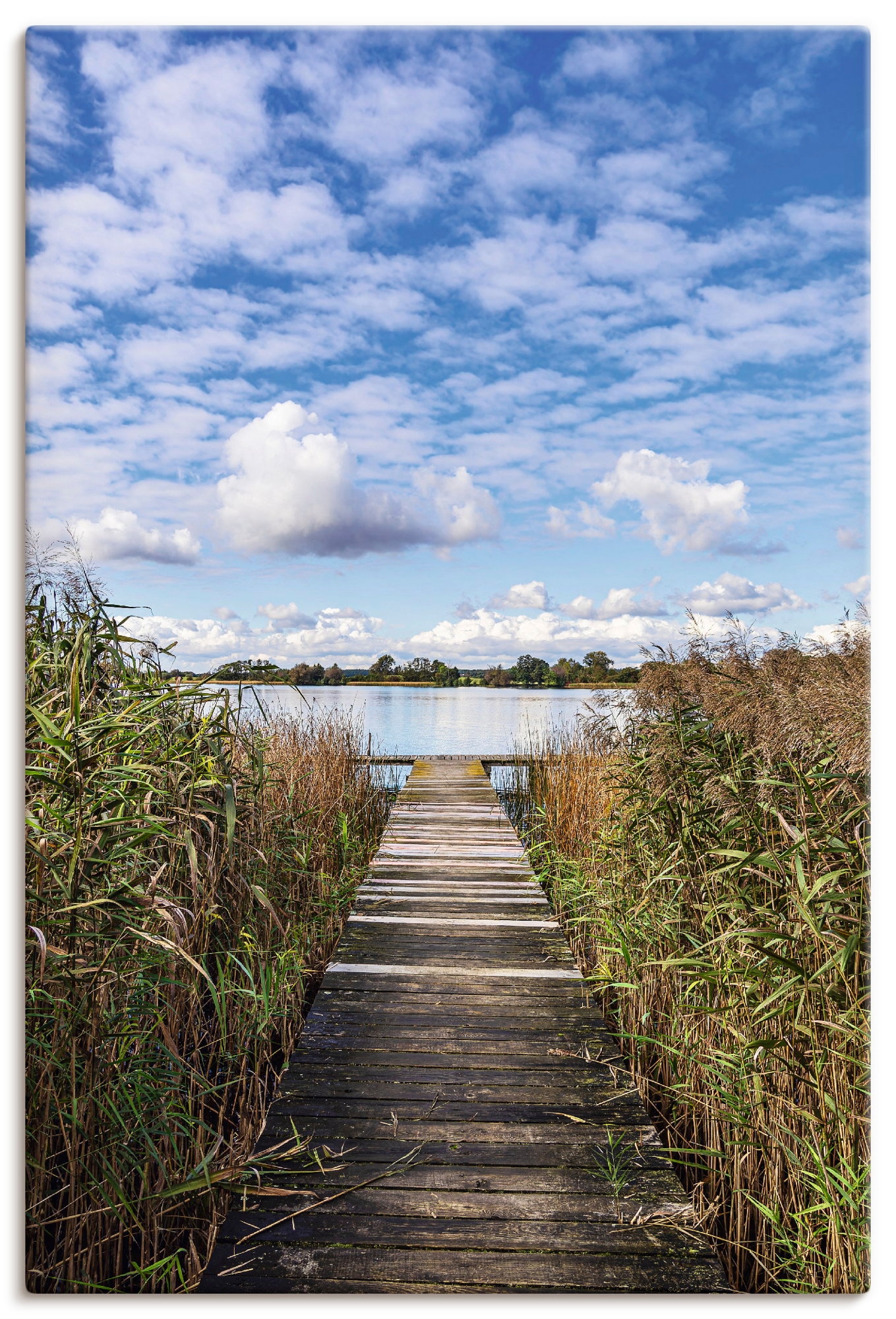 Image of Artland Wandbild "Steg und Schilf am Krakower See" Gewässer 1 Stk. tlg. als Alubild, Leinwandbild, Poster, Wandaufkleber in verschied. Grössen