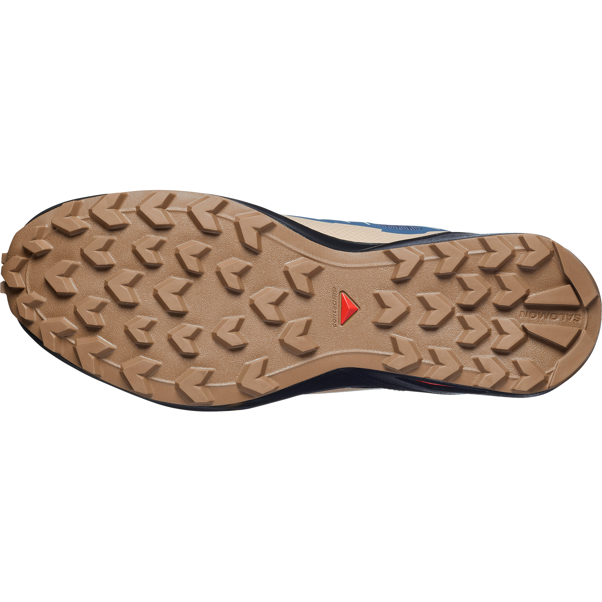 Salomon Chaussures de trail »SPEEDCROSS PEAK GTX«  étanche