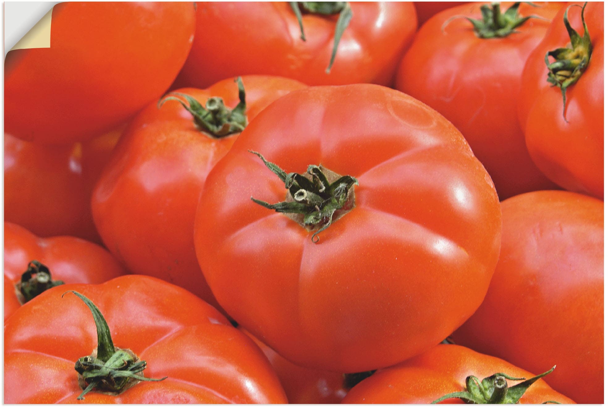 oder St.), (1 in als versch. Artland kaufen Grössen Poster Wandbild Tomaten«, »Frische Alubild, Leinwandbild, Lebensmittel, Rote Wandaufkleber