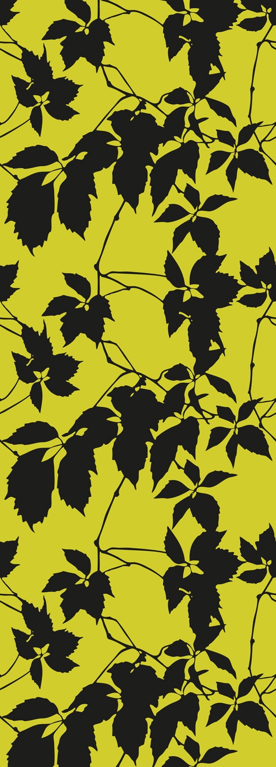 Image of queence Vinyltapete "Matthew" Motiv bedruckt botanisch floral gemustert natürlich glatt 90x250cm, selbstklebend, kinderleichte Anbringung, Sticker