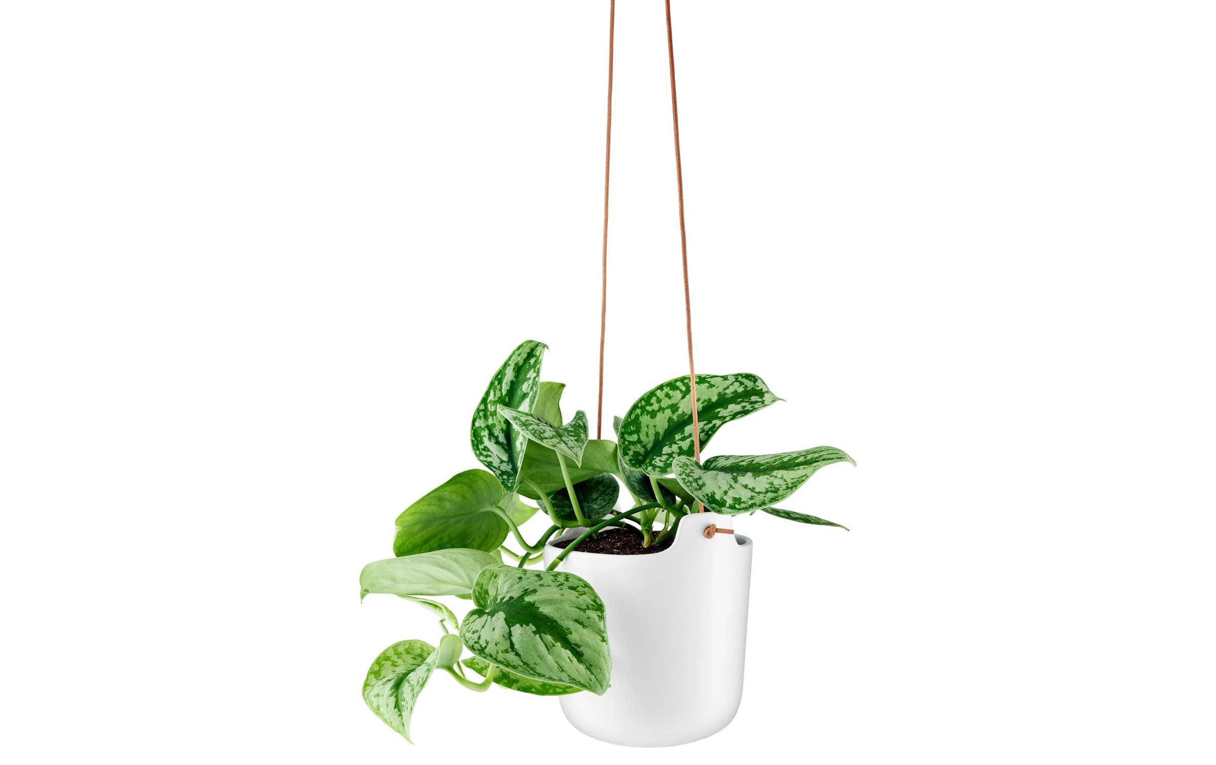 Eva Solo Blumentopf »Blumentopf hängend selbstwässernd«