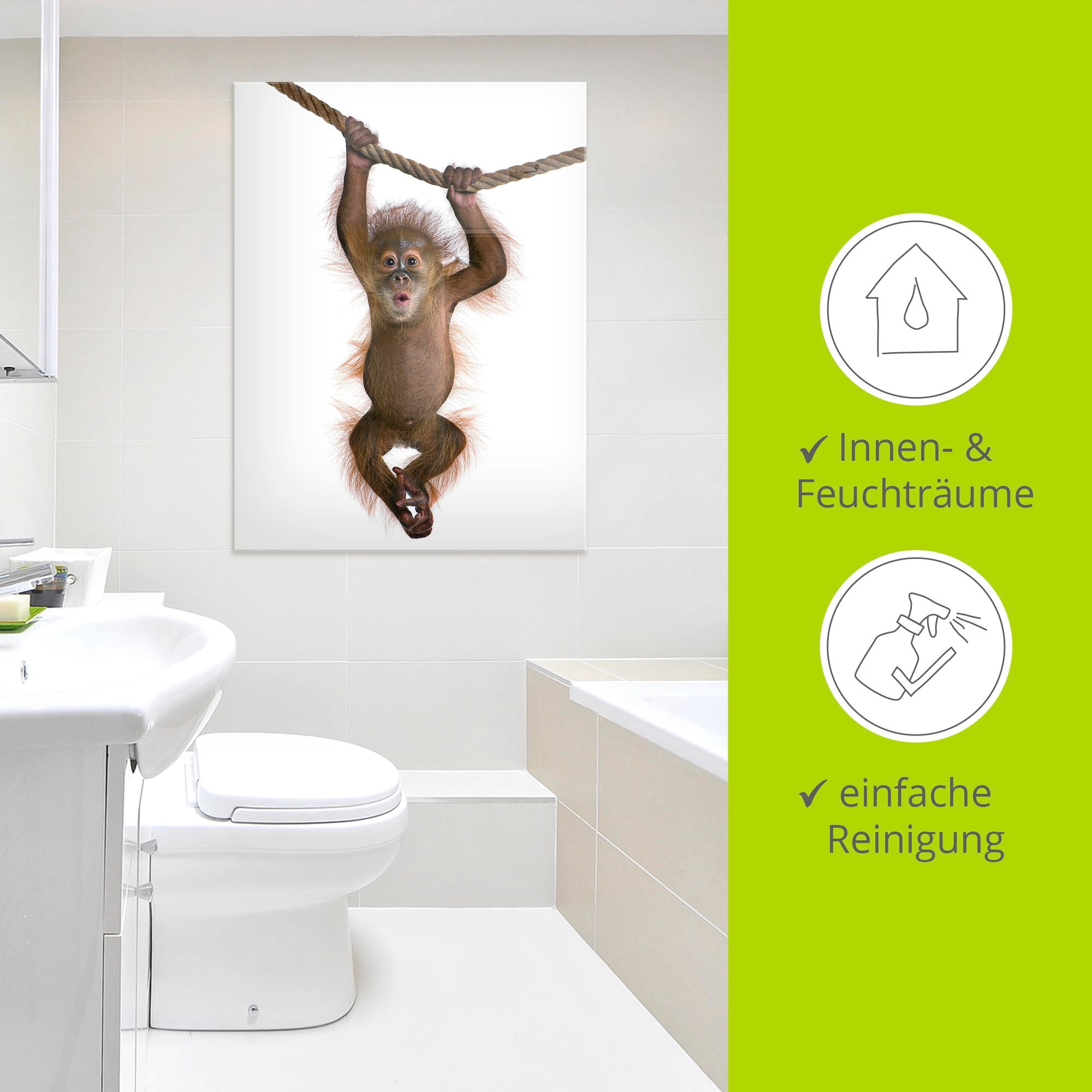 Artland Glasbild »Baby Orang Utan hängt an Seil II« Wildtiere 1 Stk. tlg. in verschiedenen Grössen