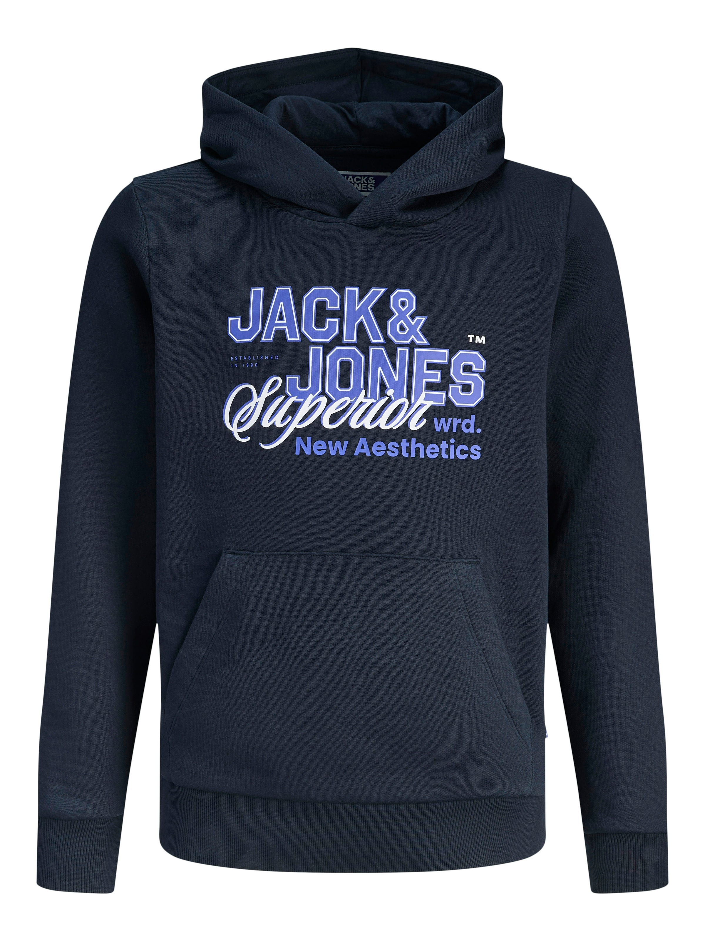 Jack & Jones Junior Sweat à capuche »JJELOGO SWEAT HOOD 2 COL AW25 NOOS JNR«

