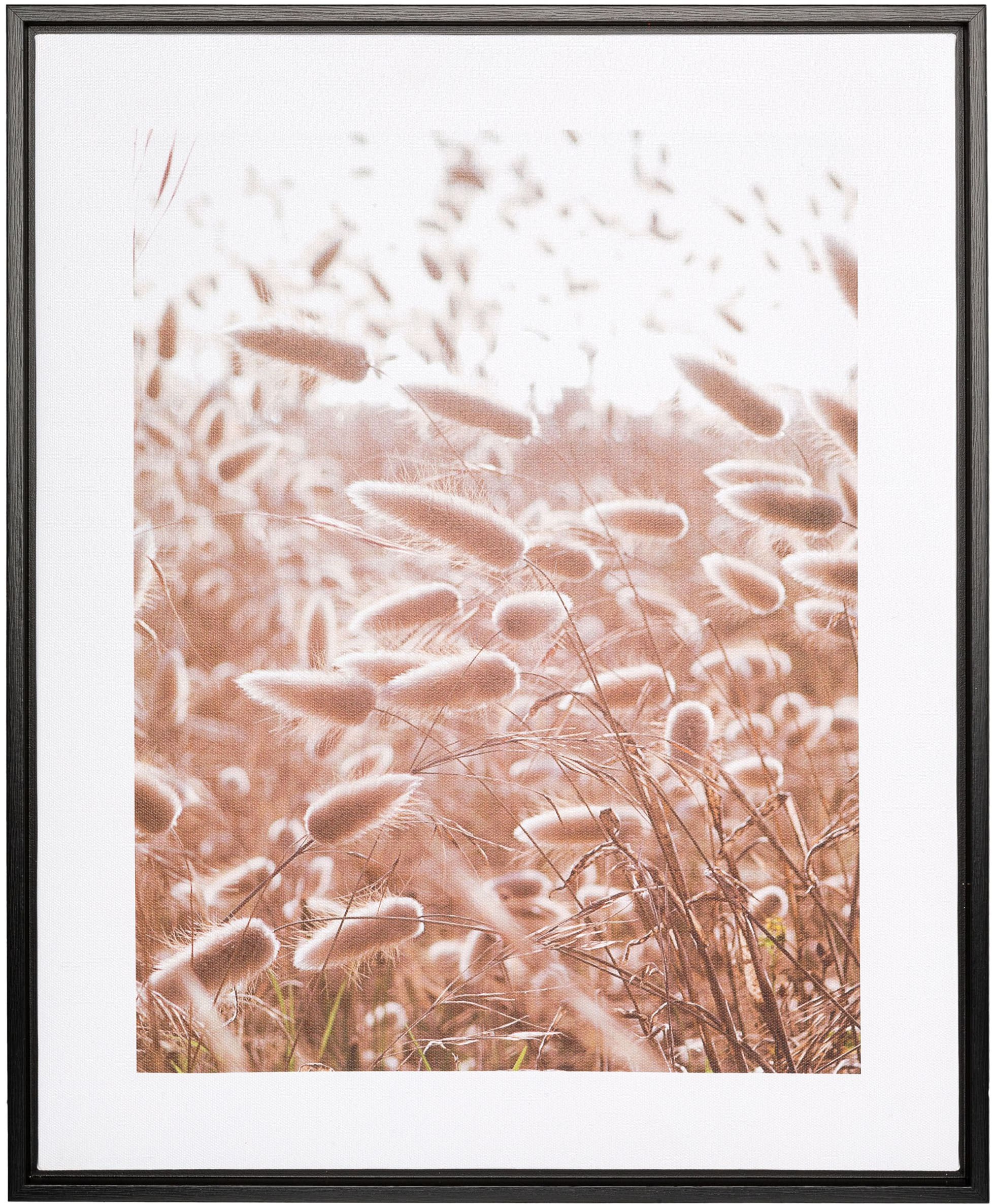 Image of Creativ home Bild mit Rahmen "Leinwandbild Grasblüten" 1 Stk. tlg. mit Rahmen