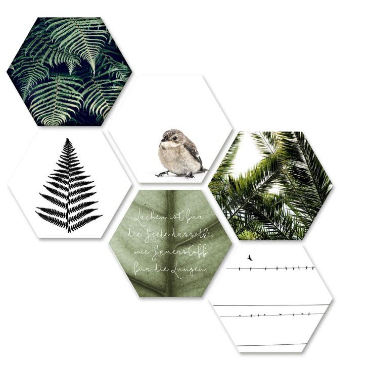 Image of Wall-Art Mehrteilige Bilder »Natürliche Vielfalt Collage«, (Set, 6 St.) bei Ackermann Versand Schweiz