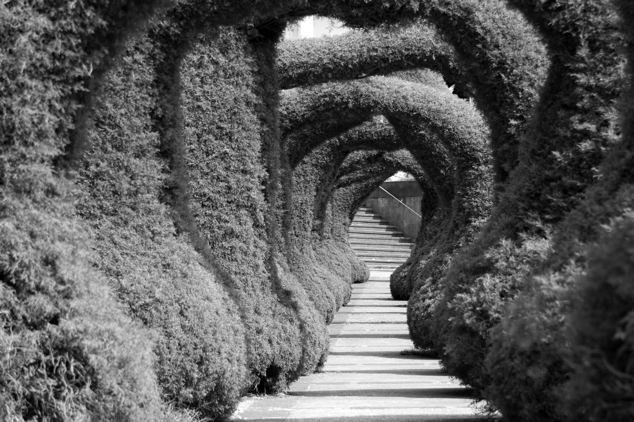 Image of Papermoon Fototapete »Treppe Schwarz & Weiss«, Vliestapete, hochwertiger Digitaldruck, inklusive Kleister bei Ackermann Versand Schweiz