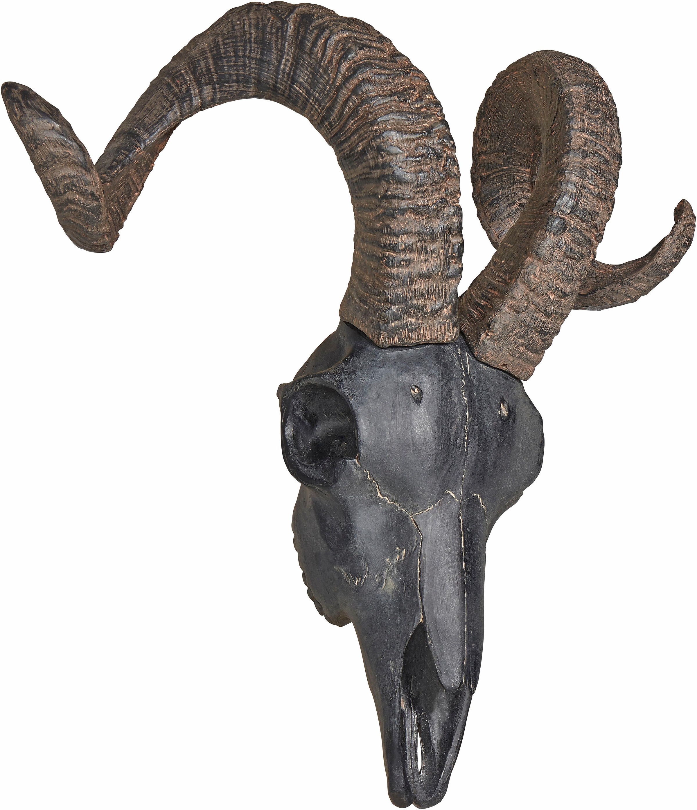 Image of HOFMANN LIVING AND MORE Wanddekoobjekt »Wanddeko Ziegenkopf«, Geweih bei Ackermann Versand Schweiz