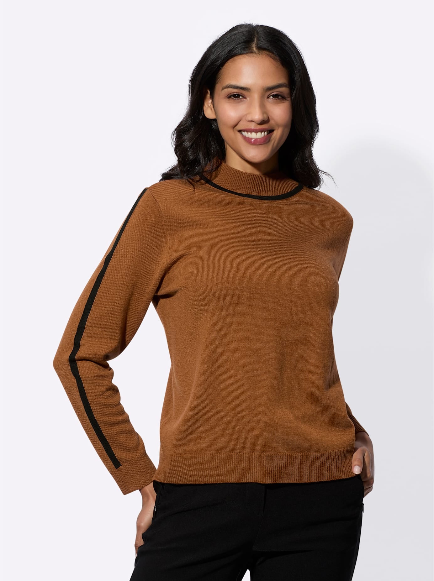 Classic Basics Stehkragenpullover »Langarm-Pullover«